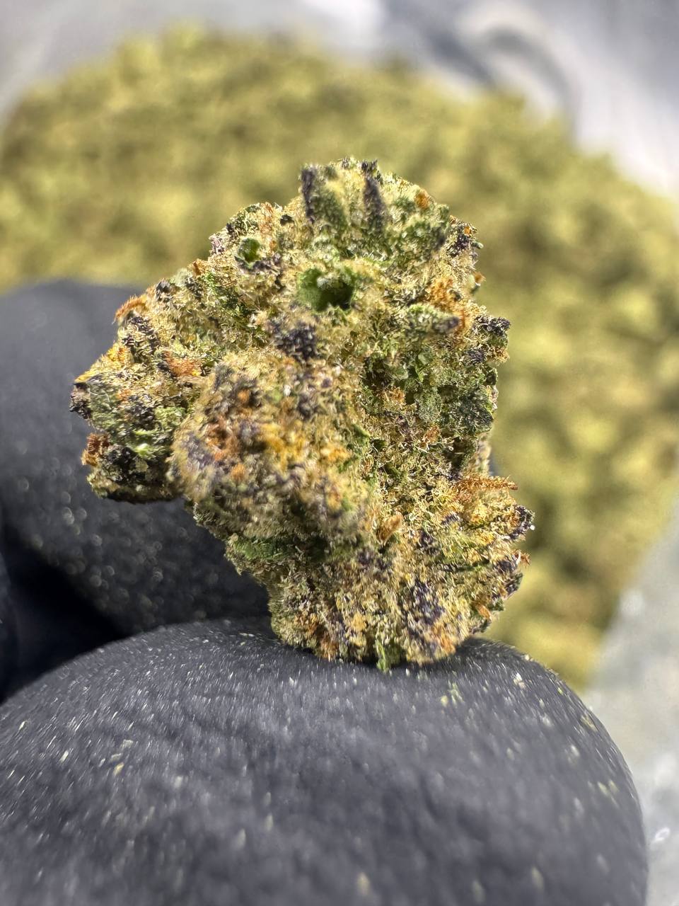 Sunset Sherbet - THCA BULK FLOWER - CLASSIC RESERVE SMALLS