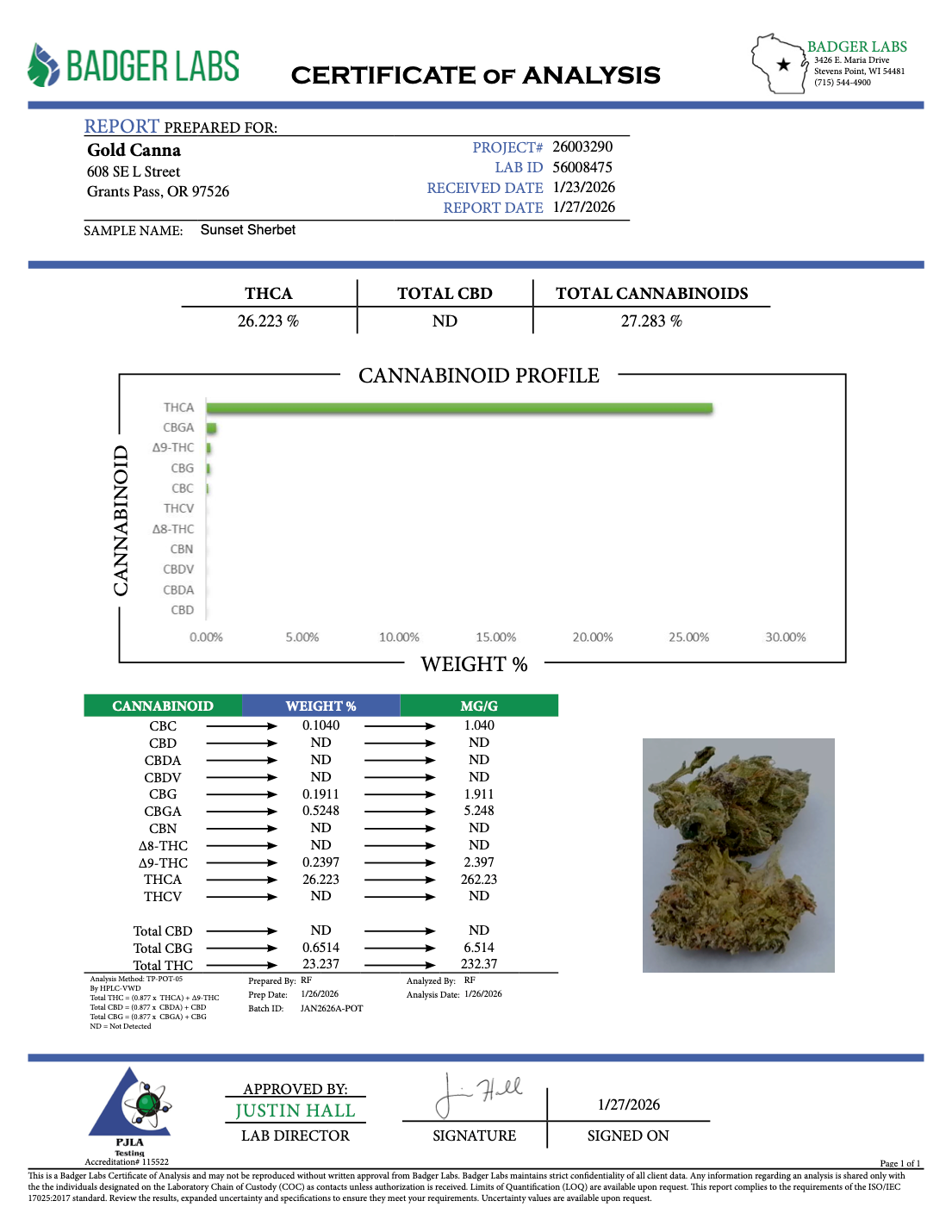 Sunset Sherbet - THCA BULK Flower - Greenhouse