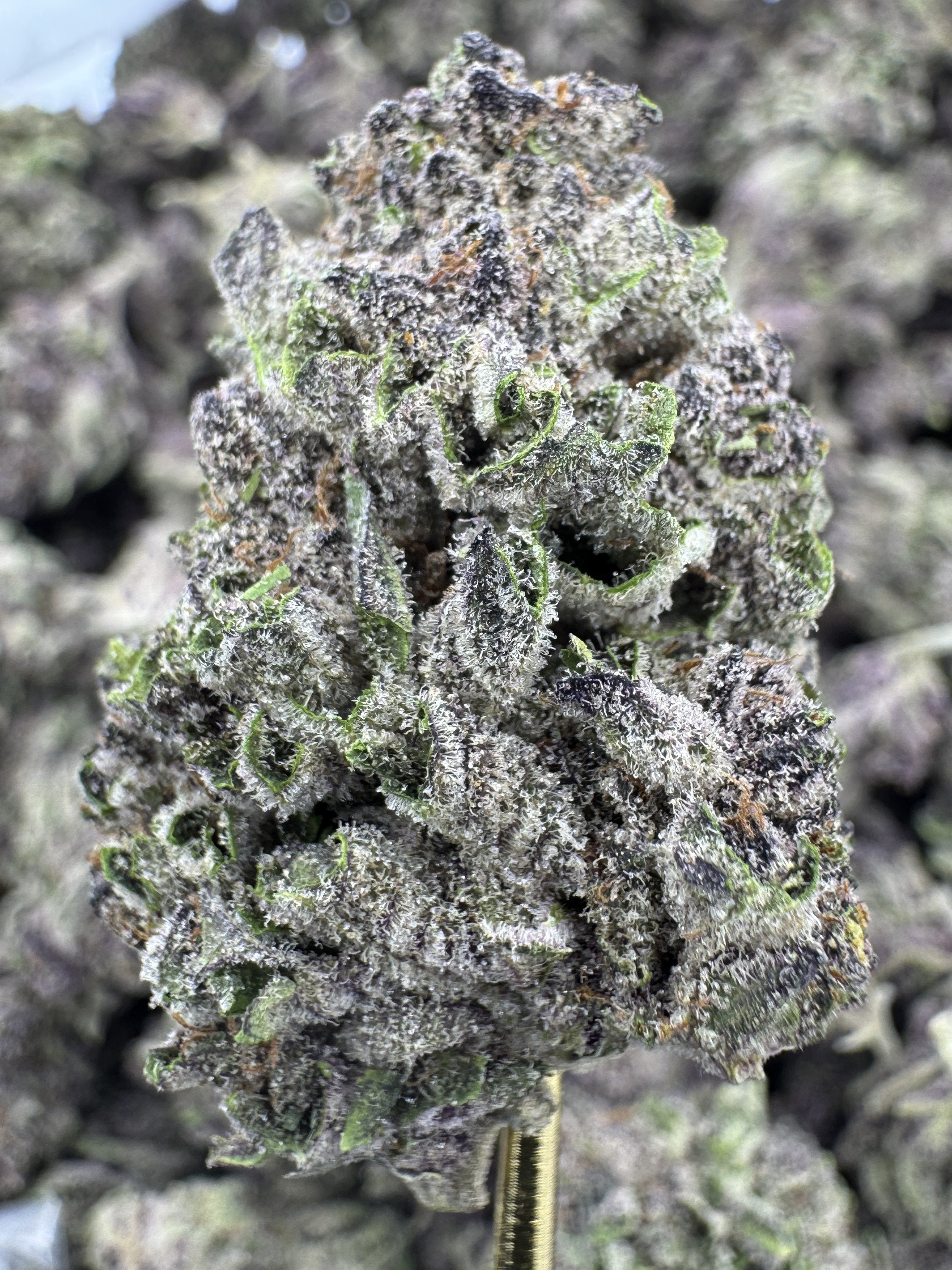 Super Boof - THCA Flower - Greenhouse Top Cut
