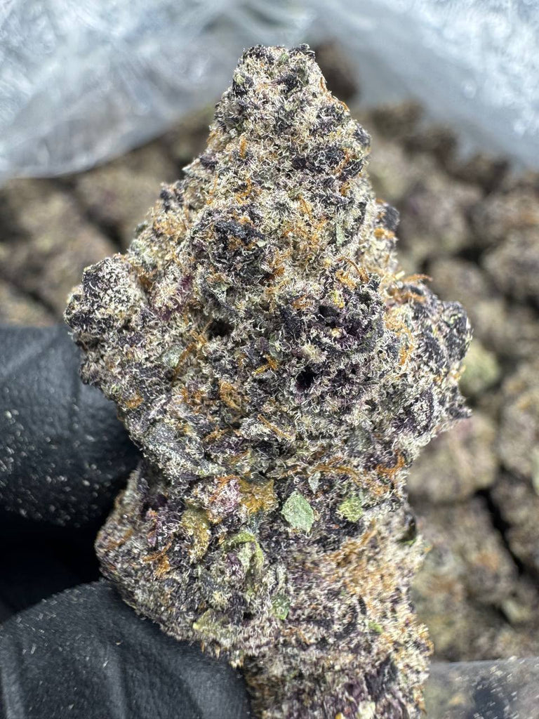 Super Buff Cherry - THCA BULK FLOWER - EXOTIC INDOOR