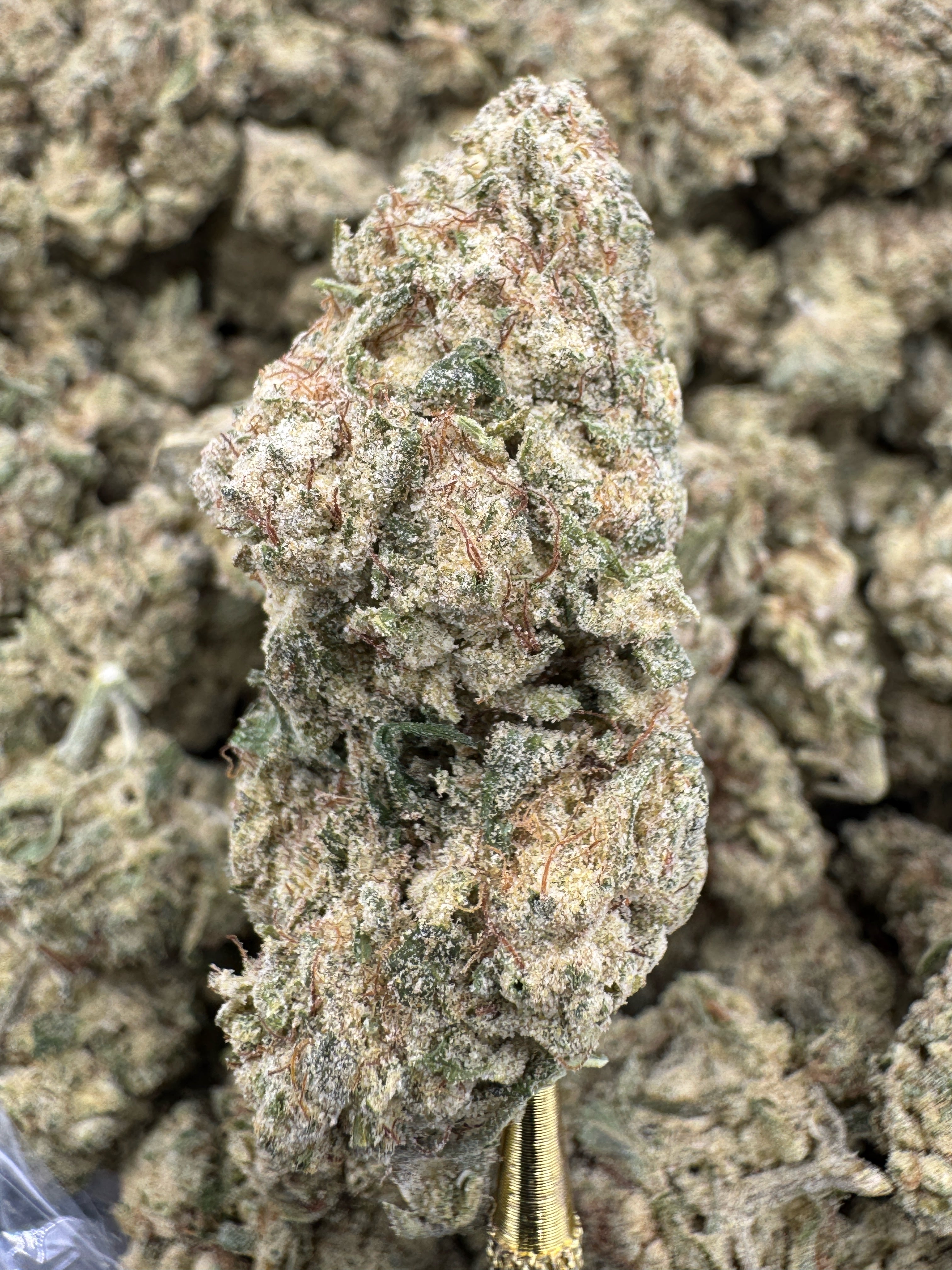 Super Lemon Haze - THCP BULK Flower - Greenhouse