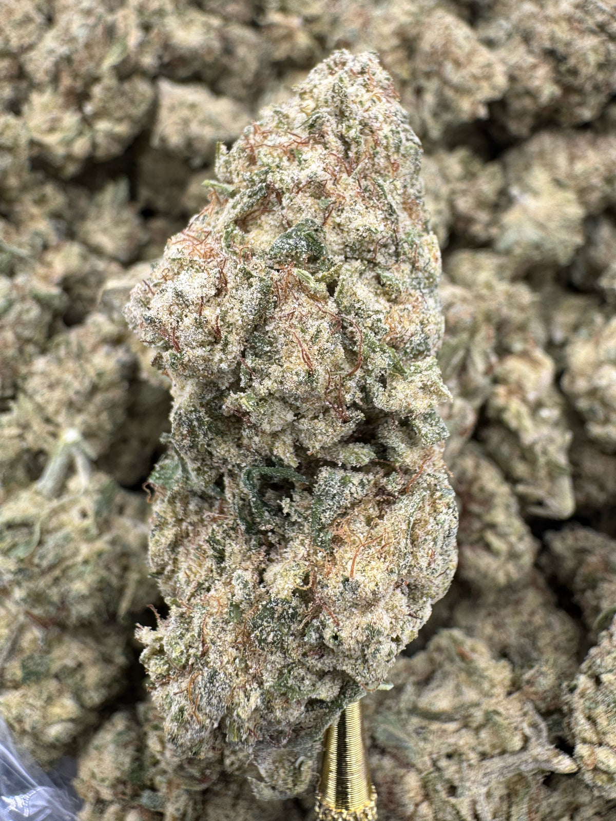 Super Lemon Haze - THCP BULK Flower - Sungrown