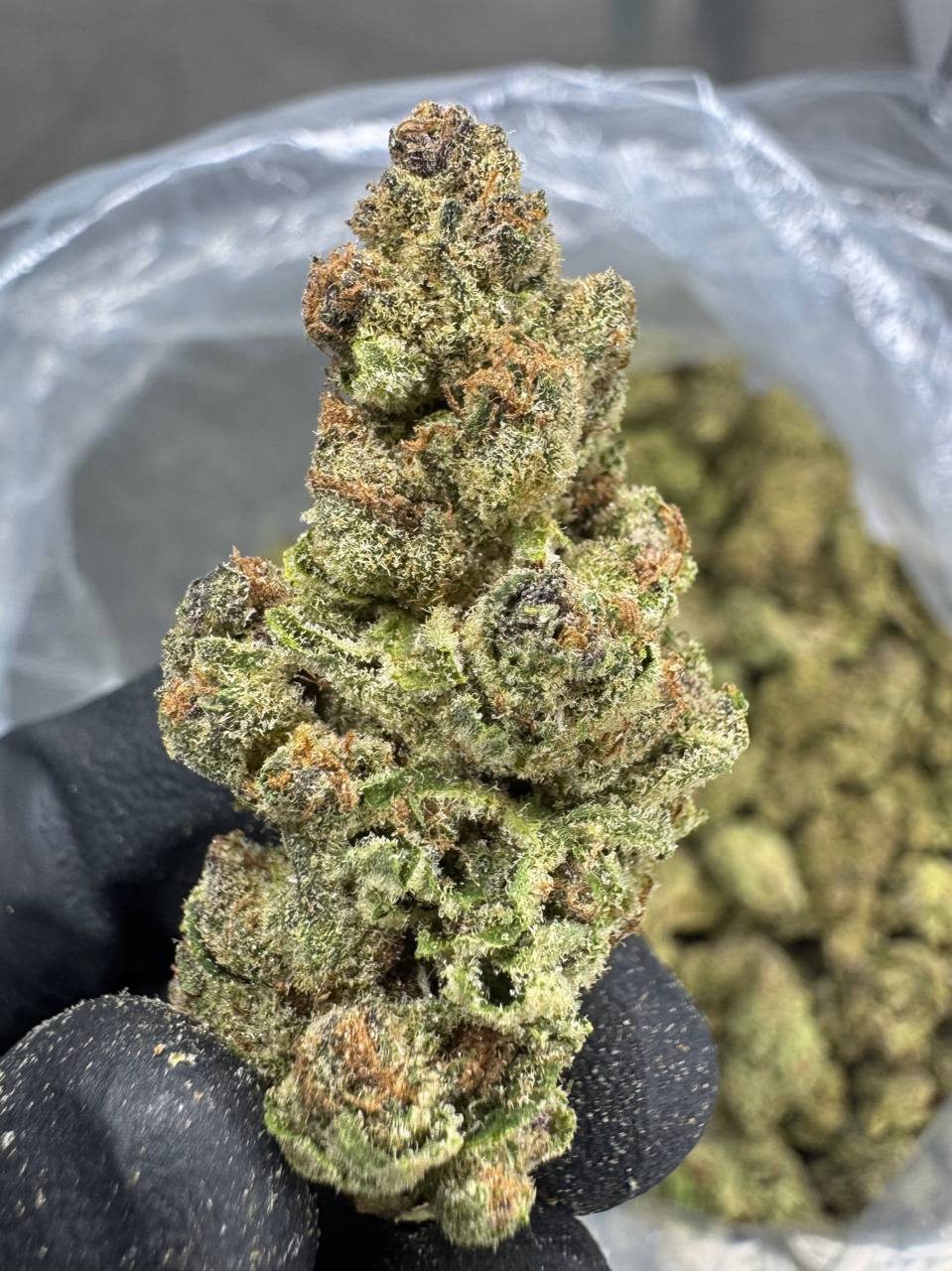 Super Boof - THCA Flower - Sungrown Top Cut