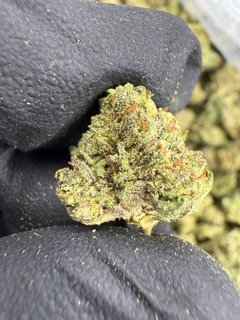 Superboof - Gold Nuggets - THCa Flower TOP SHELF SMALLS