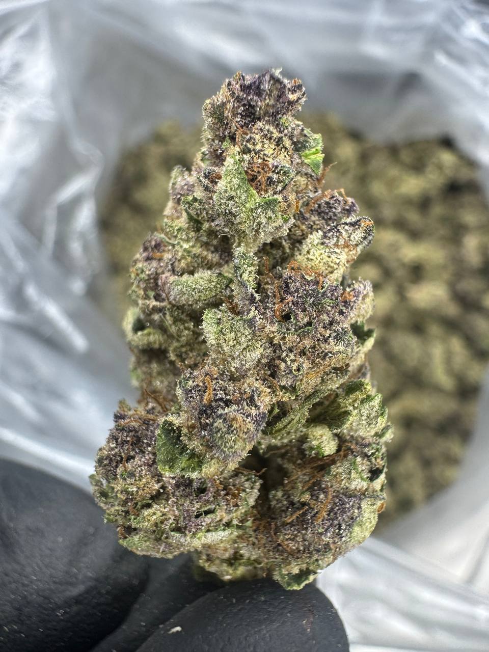 Super Boof - THCA Flower - Greenhouse Top Cut
