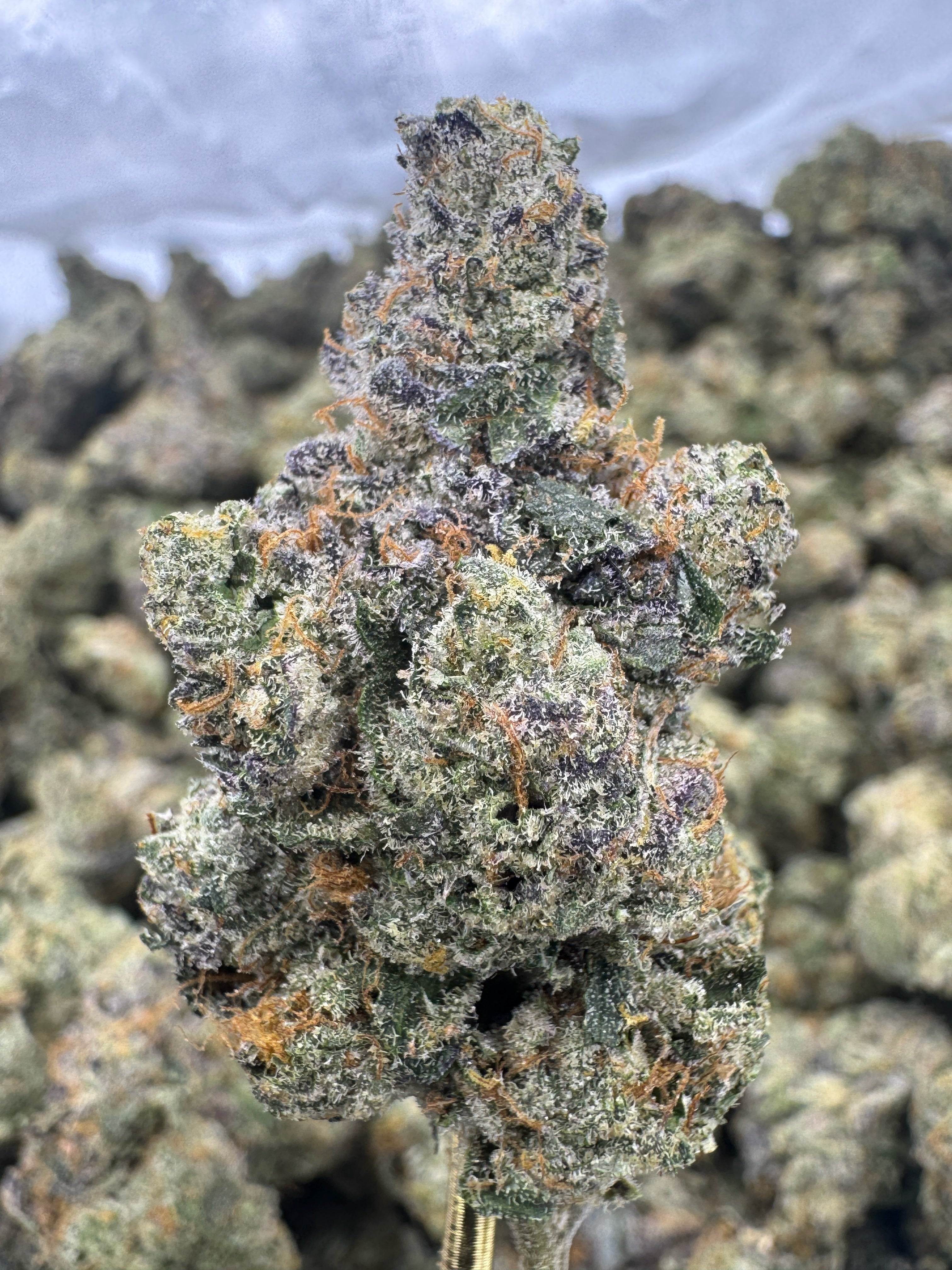 Tahoe OG - THCA BULK Flower - Indoor Exotic