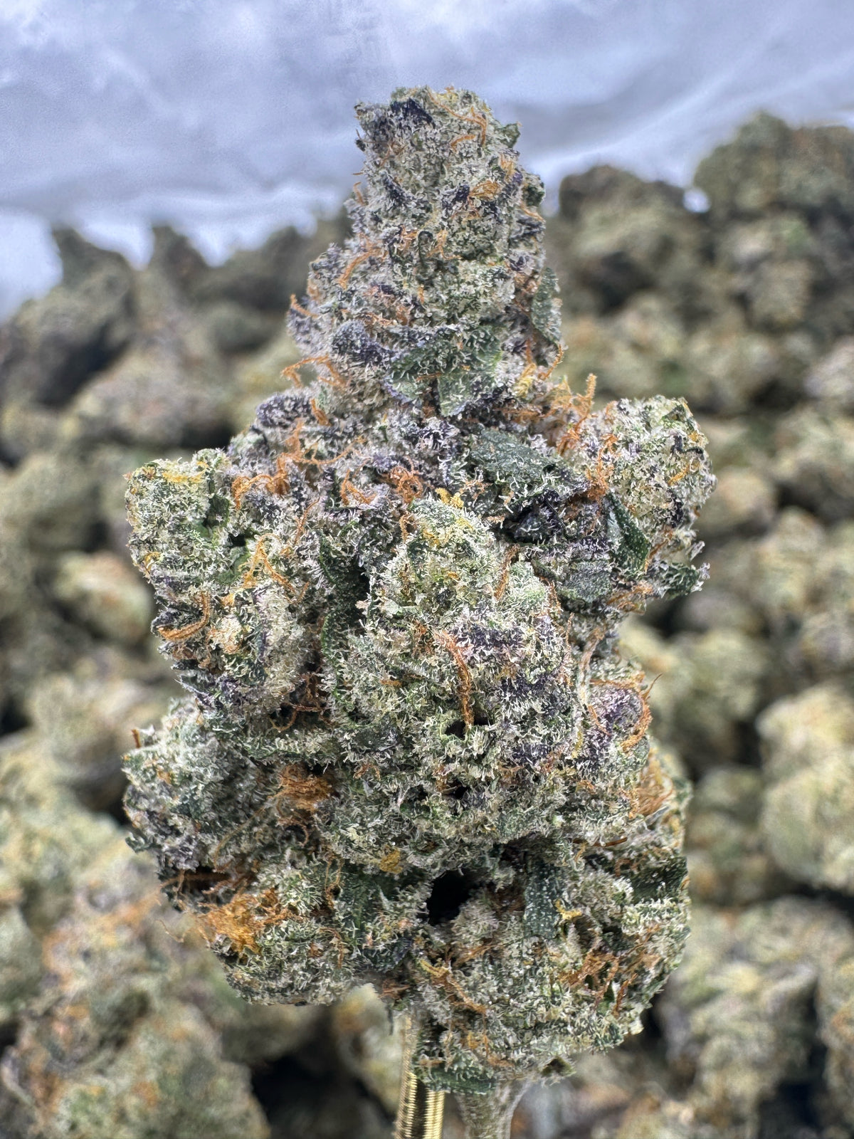 Tahoe OG - THCA BULK Flower - Indoor Exotic