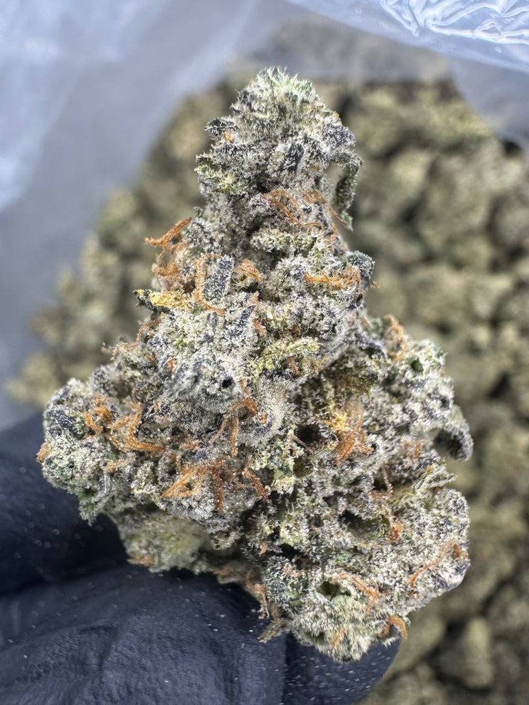 Tahoe OG - THCA BULK FLOWER - EXOTIC INDOOR