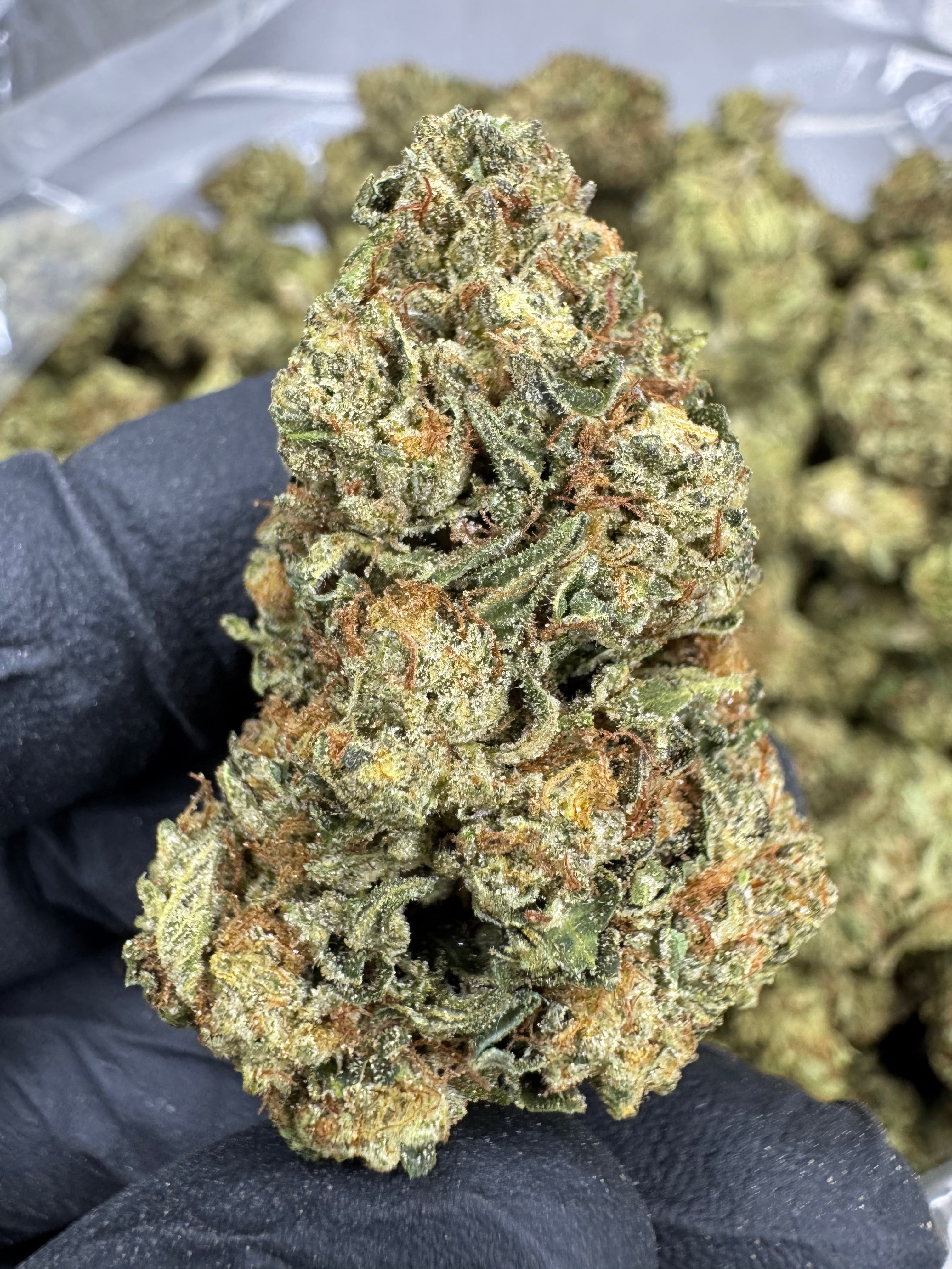 Tiger Cake - THCA BULK Flower - Sungrown