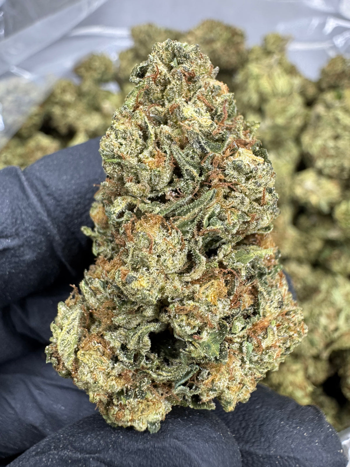 Tiger Cake - THCA Flower - Sungrown Top Cut