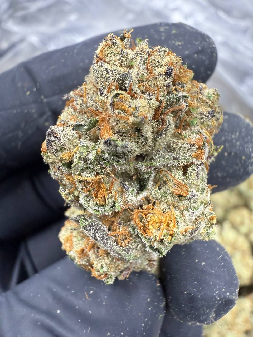 Triple Cake - THCA BULK FLOWER - AA INDOOR