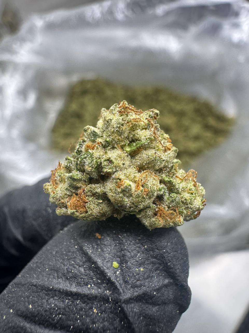 Triple Cake - THCA BULK Flower - Greenhouse Smalls