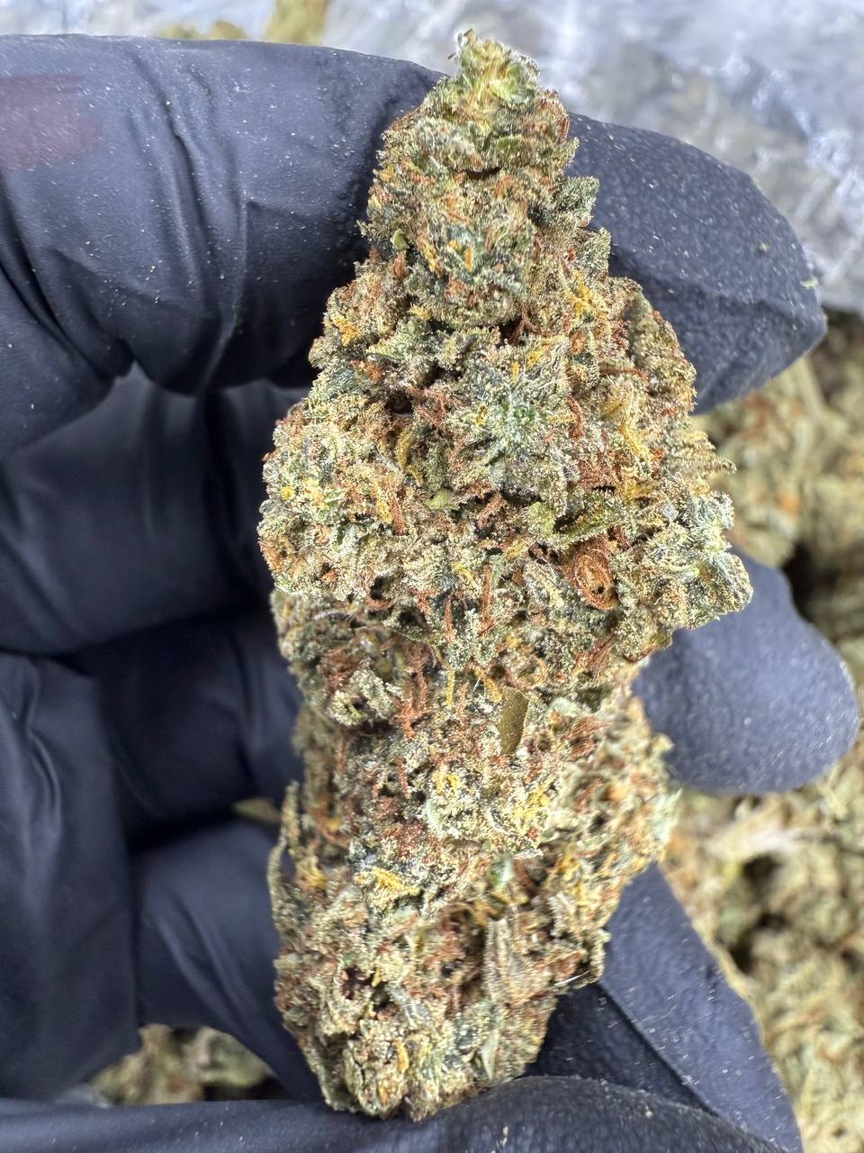 Triple OG - THCA BULK Flower - Sungrown Top Cut