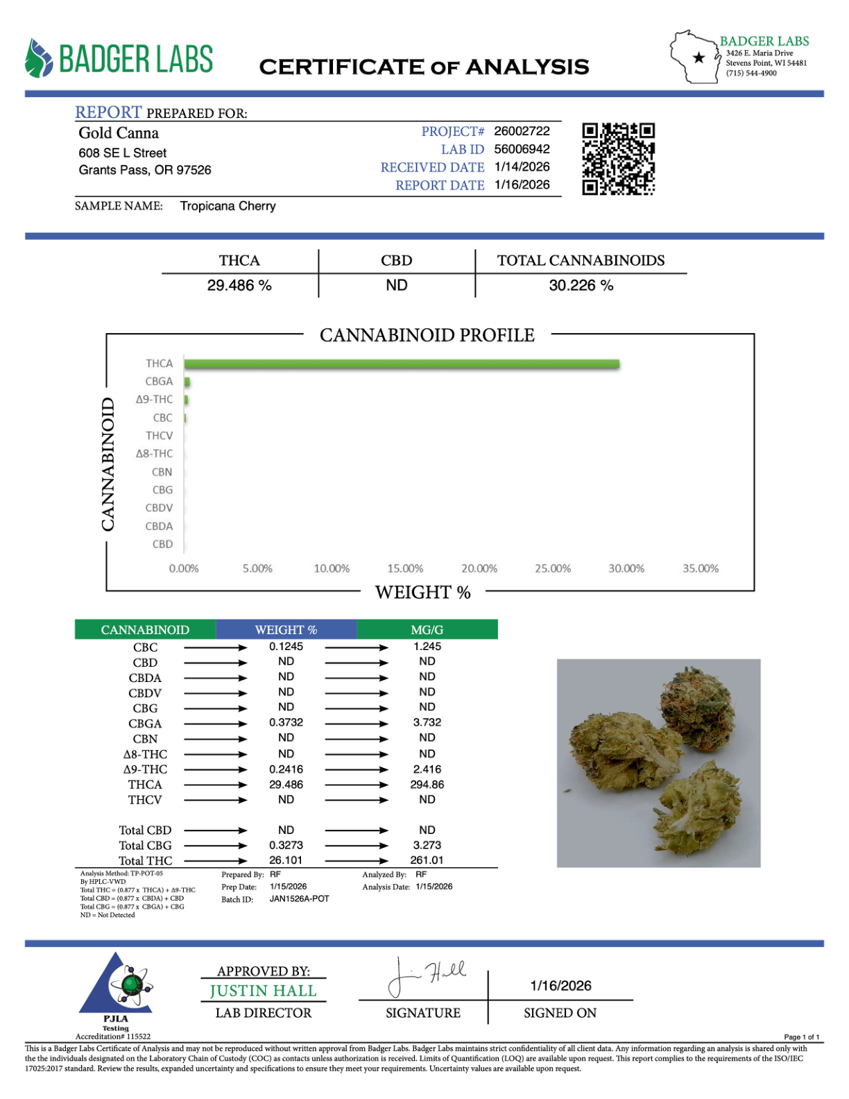 Tropicana Cherry - THCA BULK Flower - Indoor Smalls