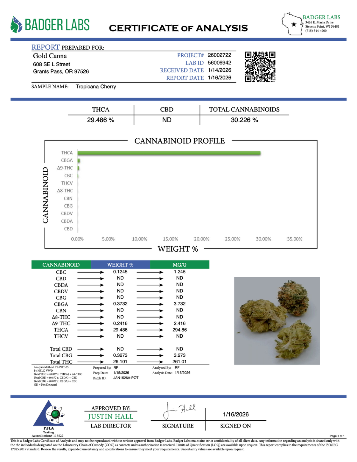 Tropicana Cherry - THCA BULK Flower - Indoor