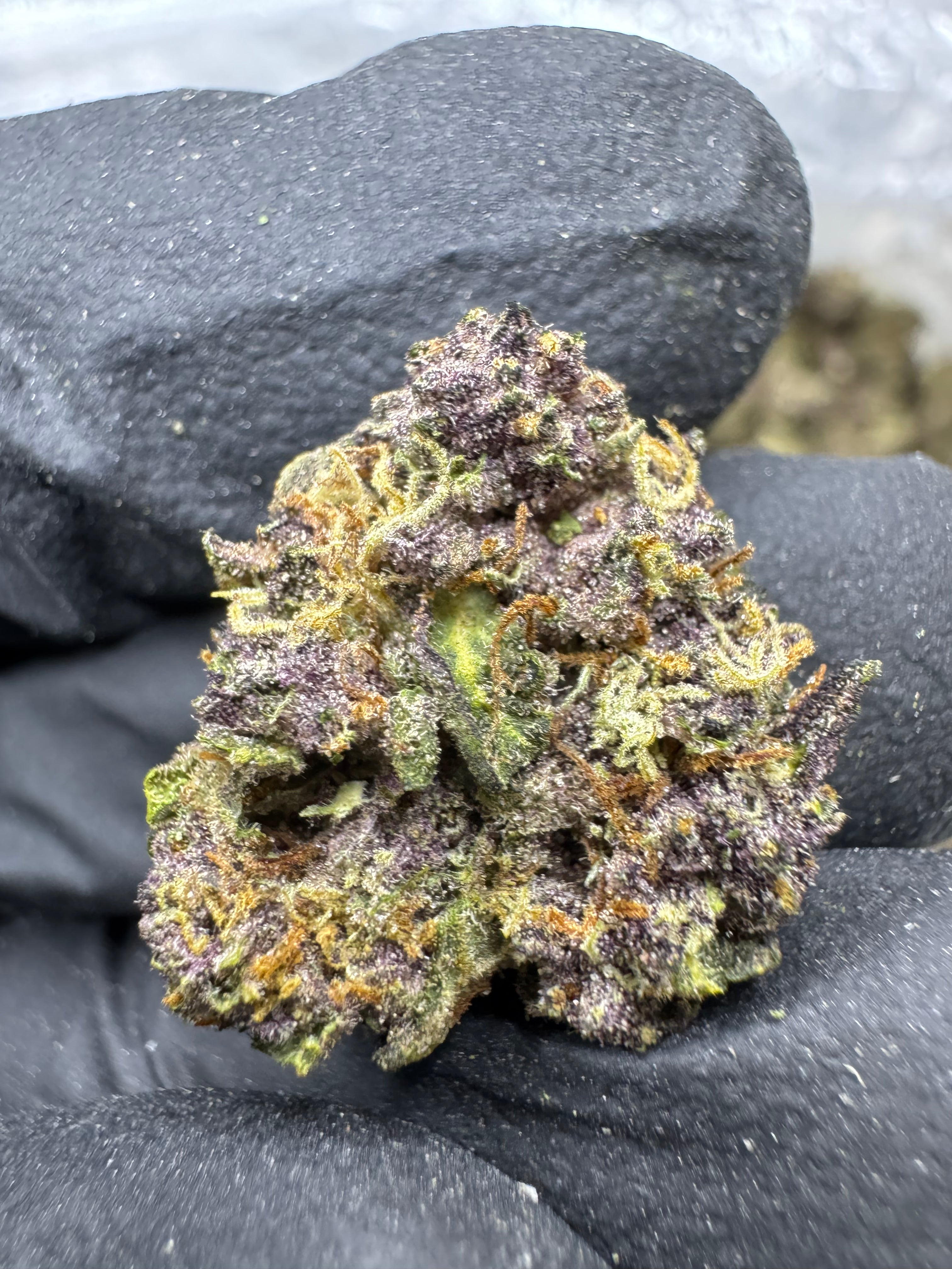 Tropicana Cherry - THCA BULK Flower - Greenhouse Mediums