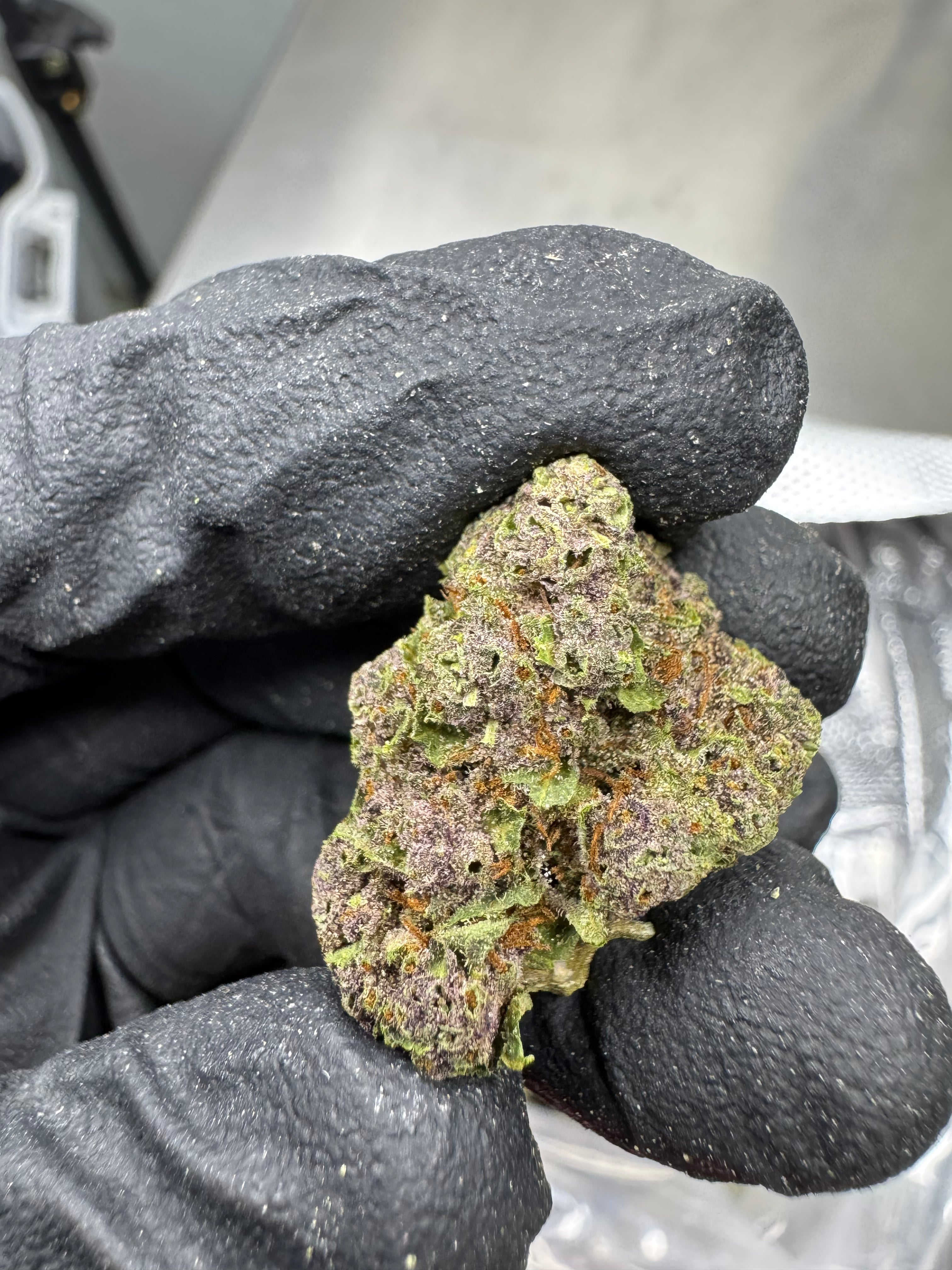 Tropicana Cherry - THCA BULK Flower - Greenhouse Smalls