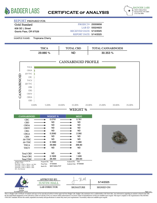 Tropicana Cherry - THCA BULK Flower - Greenhouse