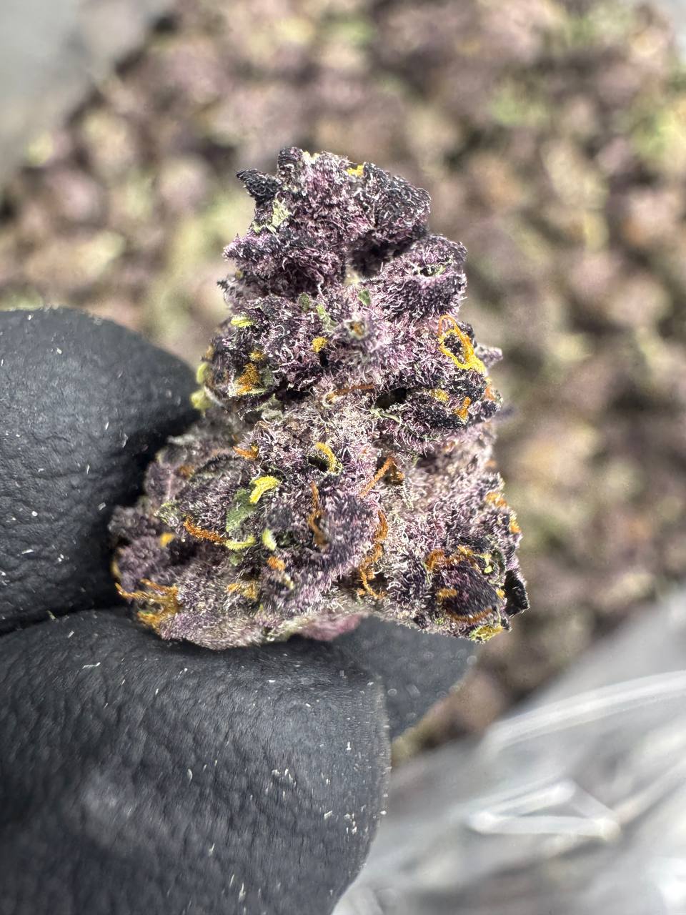 Tropicana Cherry - Gold Nuggets - THCa Flower Exotic Smalls