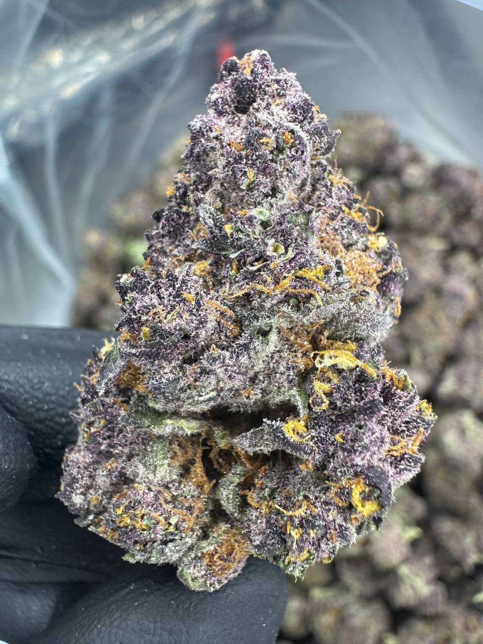 Tropicana Cherry - THCA BULK Flower - Indoor Exotic