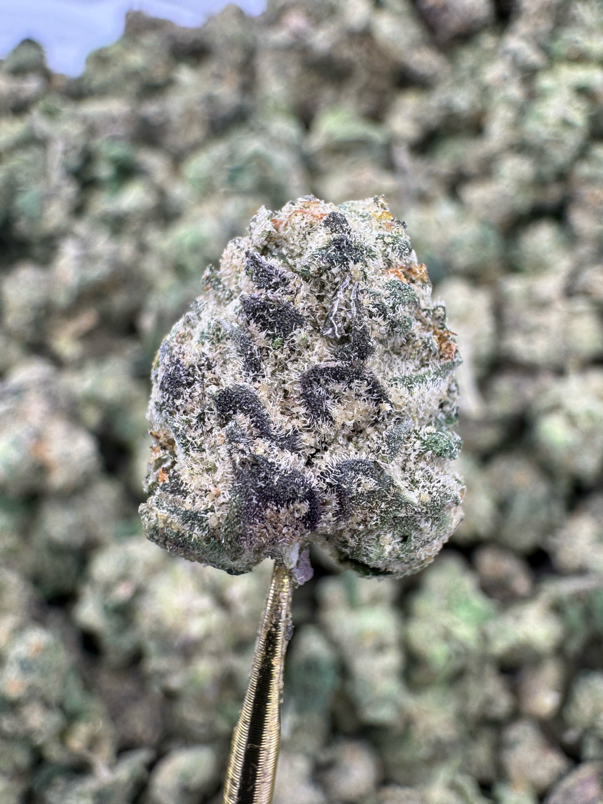 Venom OG - THCA Flower - Indoor Gold Nuggets Exotic
