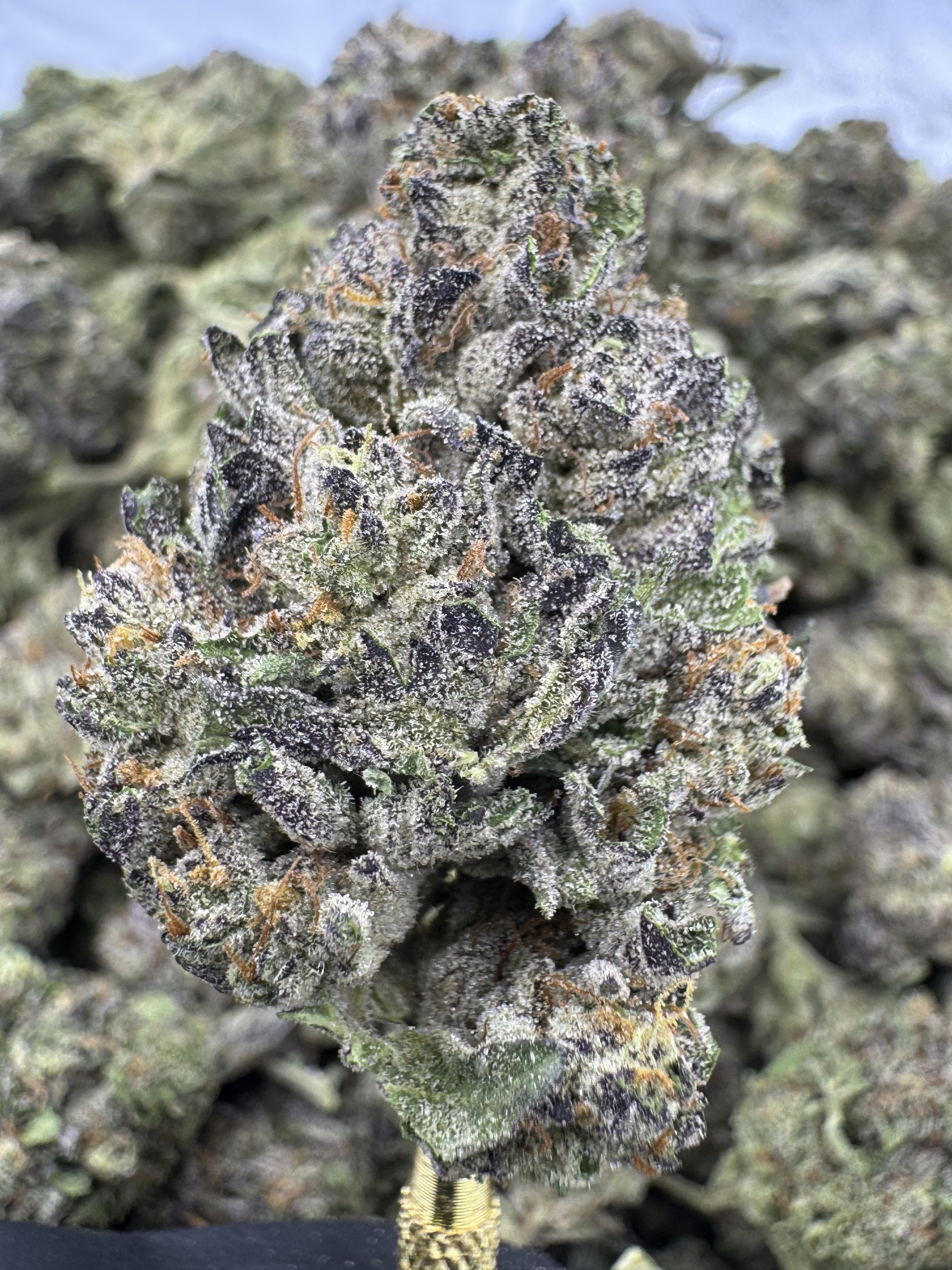 Wedding Cake - THCA BULK Flower - Greenhouse