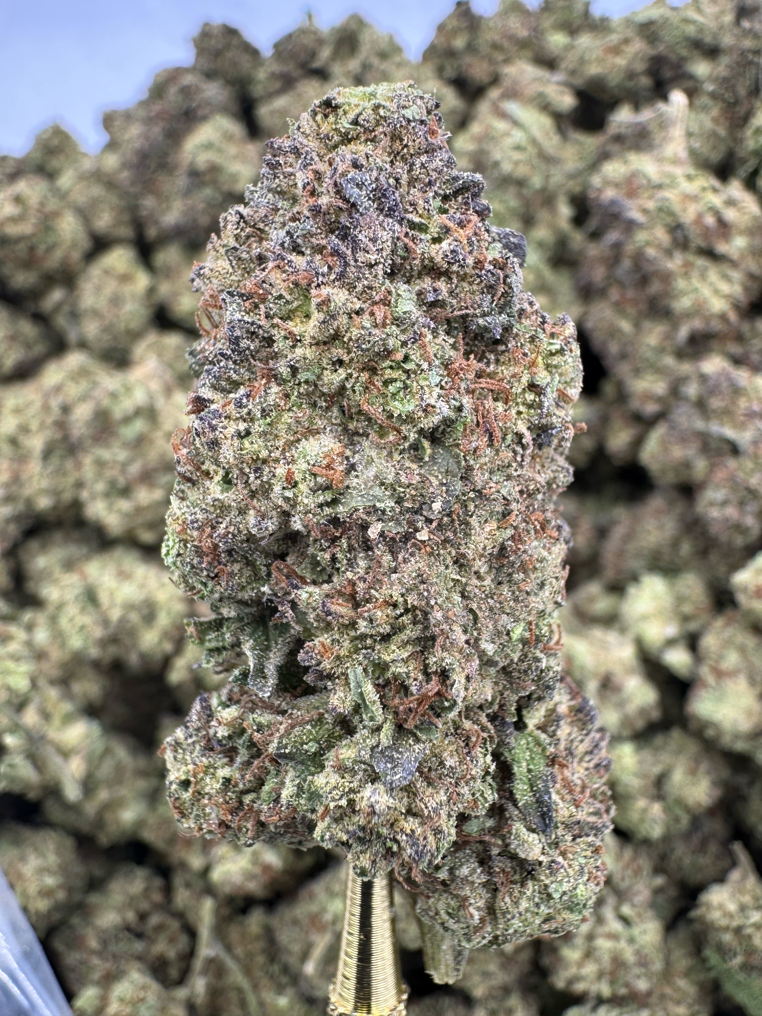 Wedding Cake - THCA BULK Flower - Sungrown