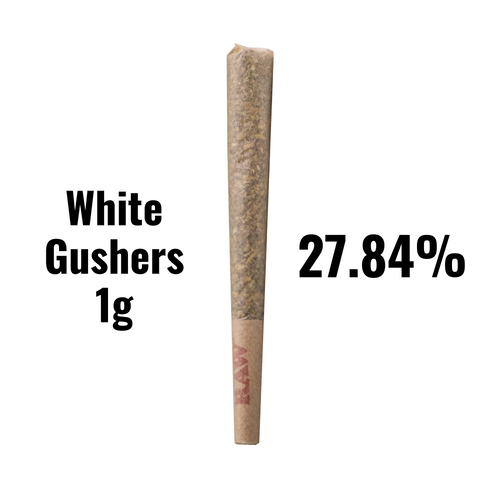 White Gushers -THCA - 1g