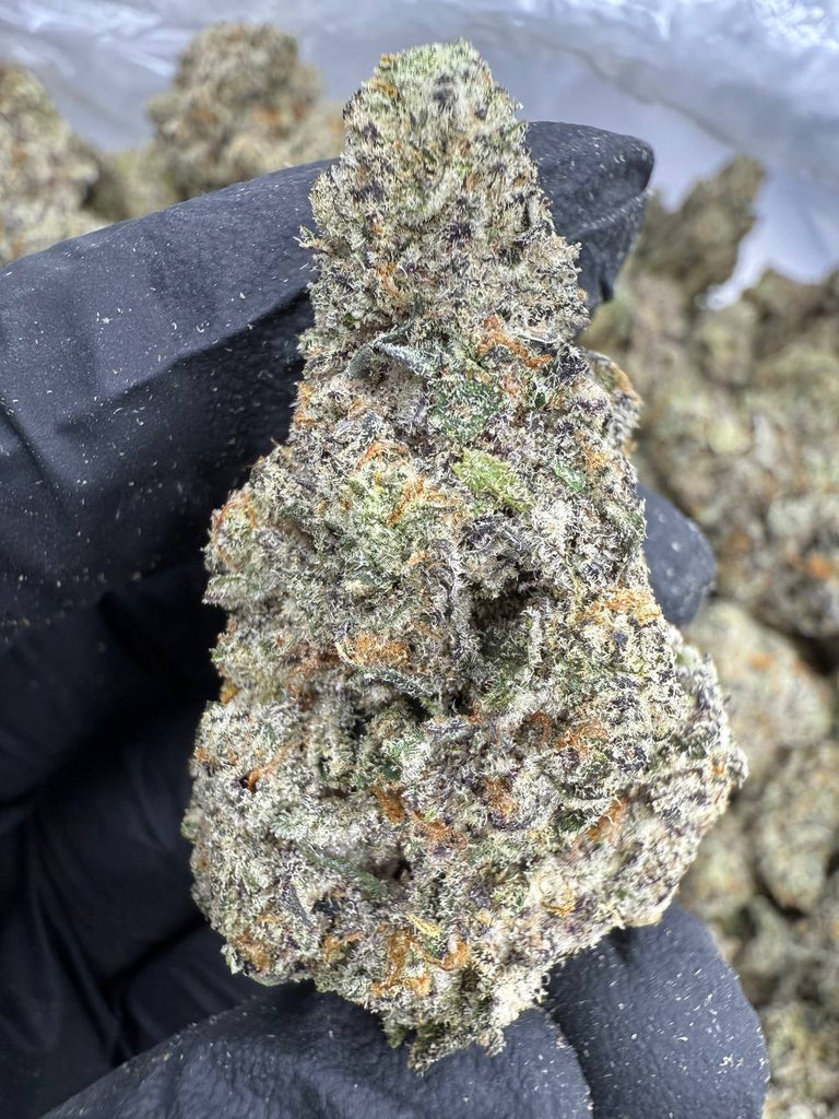 White Chocolate Chip - THCA BULK FLOWER - EXOTIC INDOOR