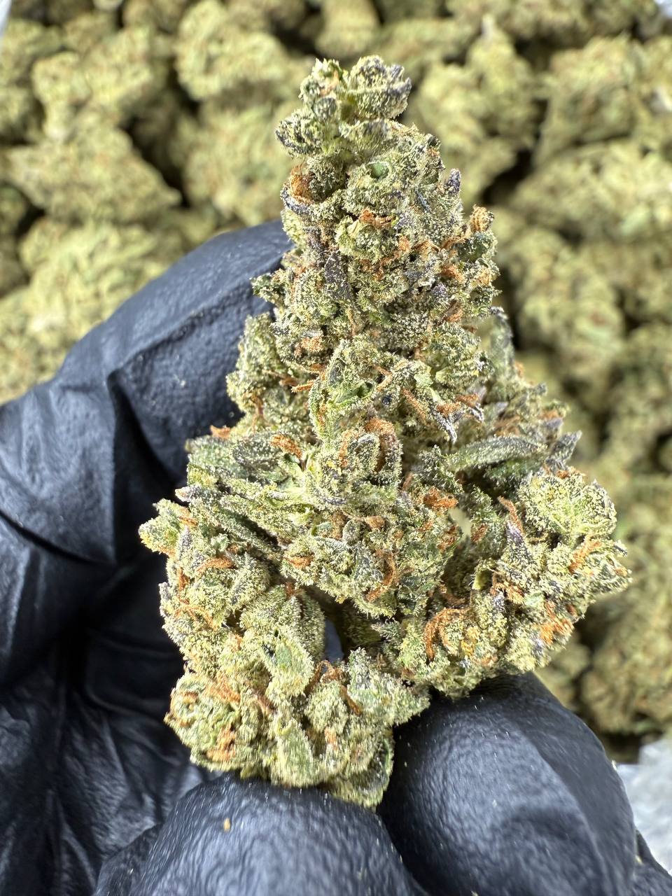 White Runtz - THCA Flower - Sungrown Top Cut