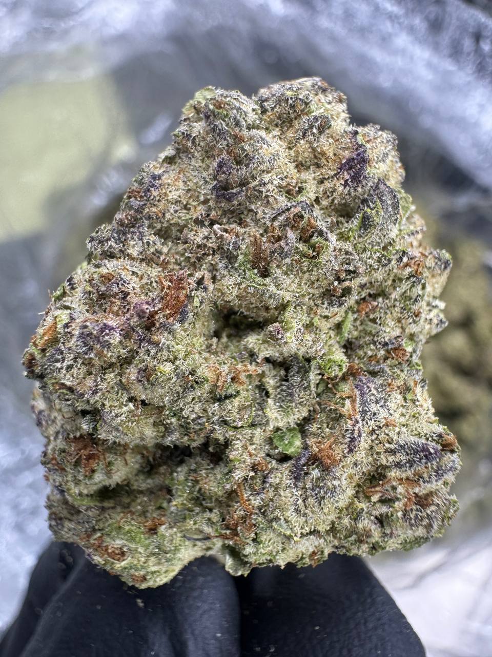 White Truffle - THCA BULK Flower - Greenhouse