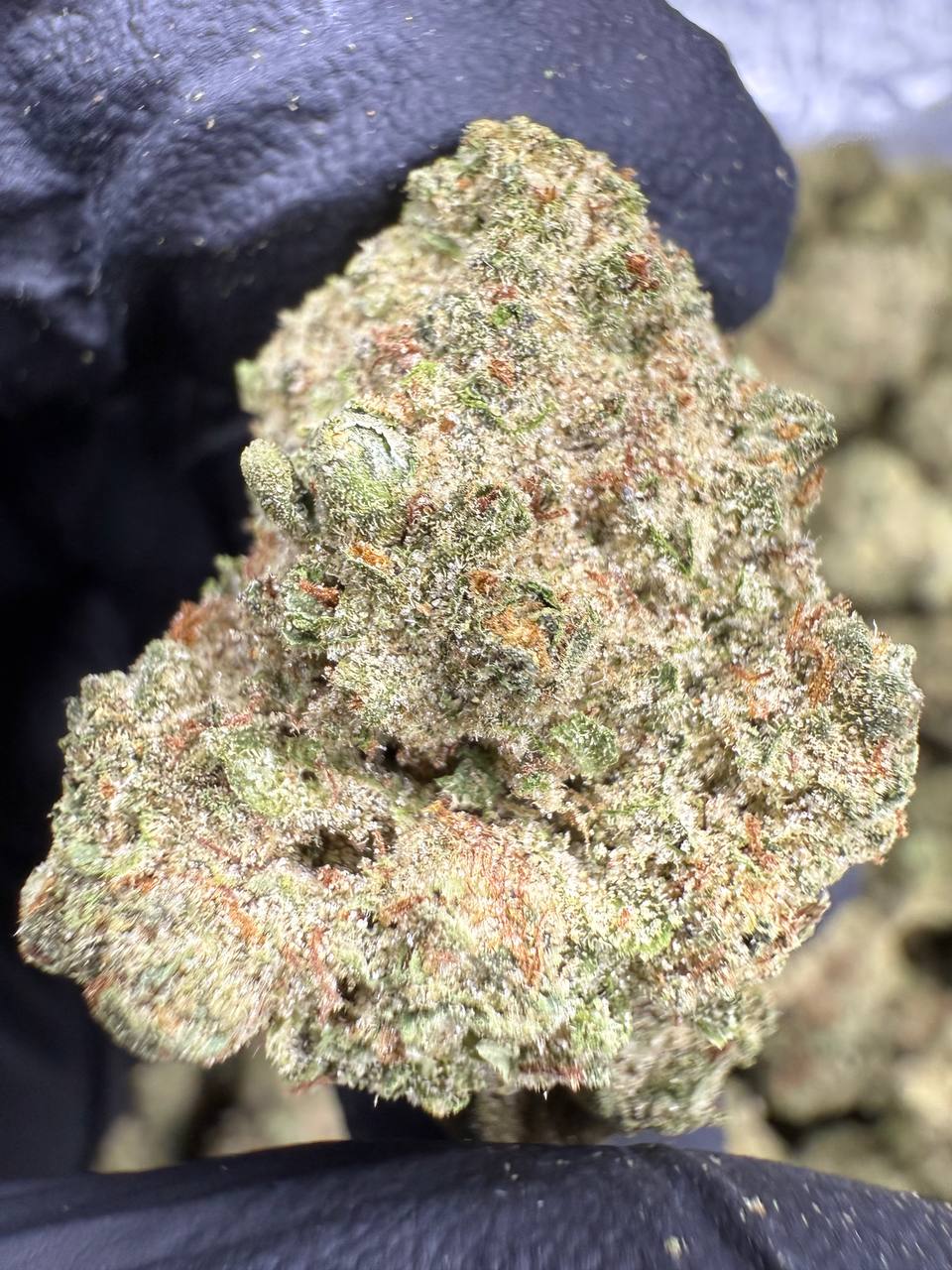 White Truffle - THCA Flower - Greenhouse Top Cut