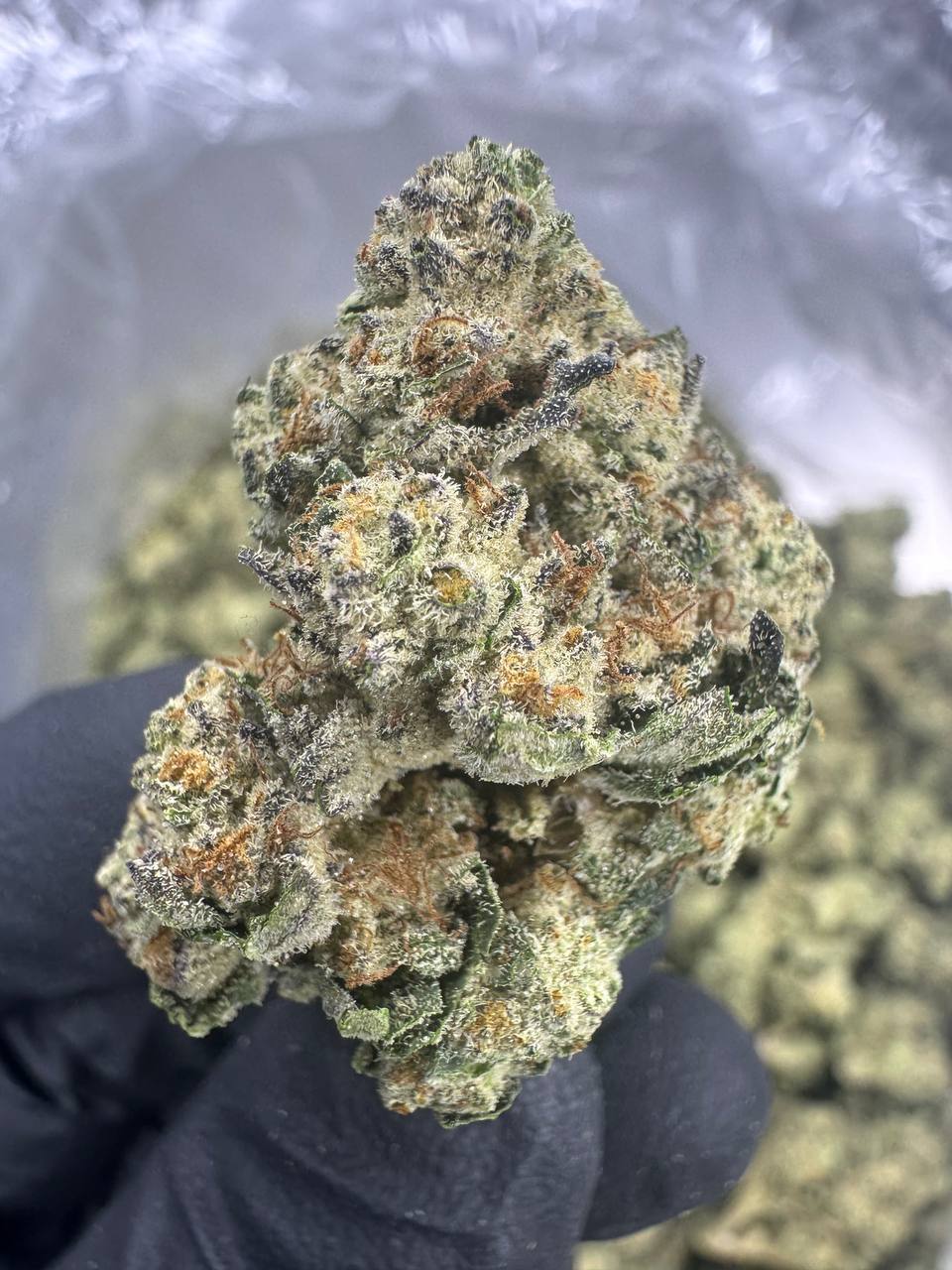 White Widow - THCA BULK FLOWER -  AAA