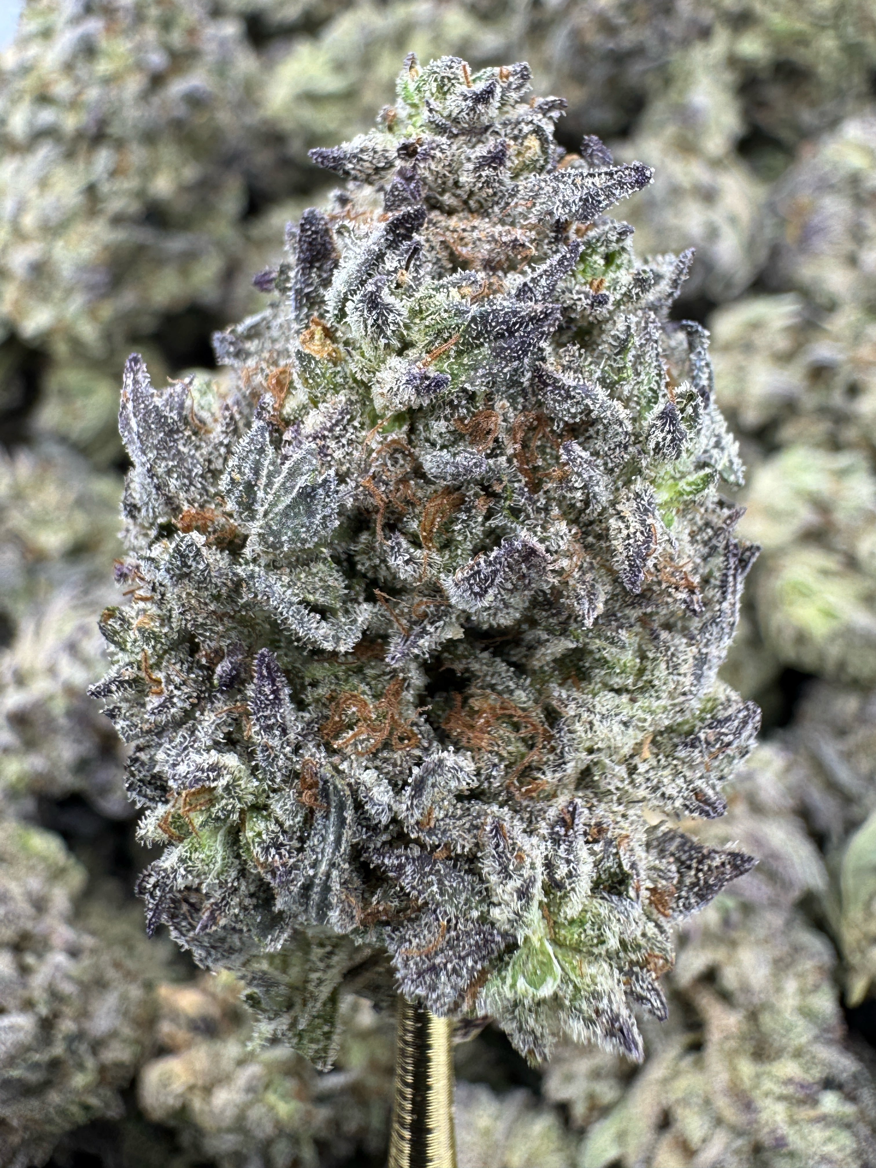 White Widow - THCA Flower - Indoor Top Cut