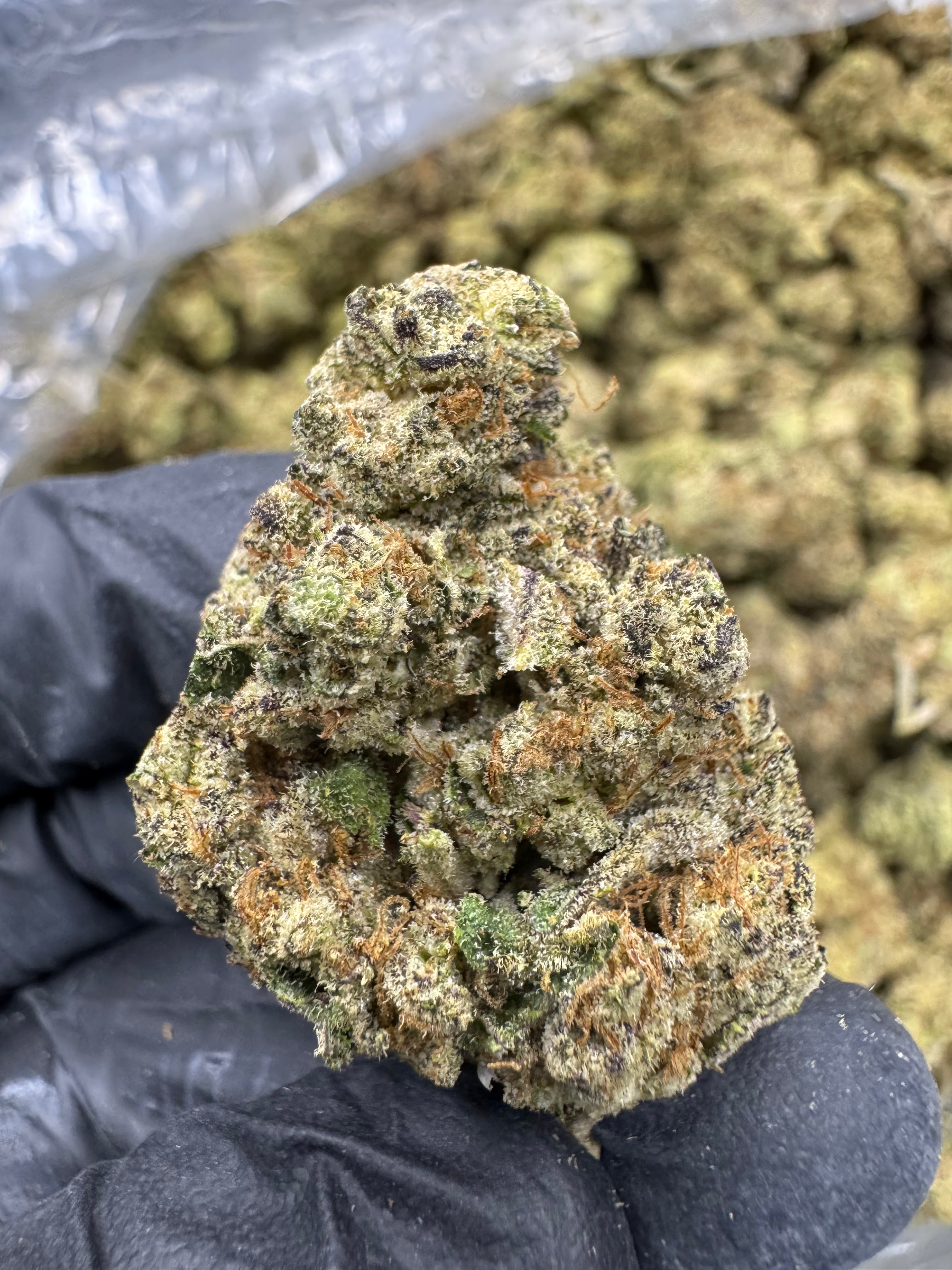 Zapples - THCA BULK Flower - Indoor
