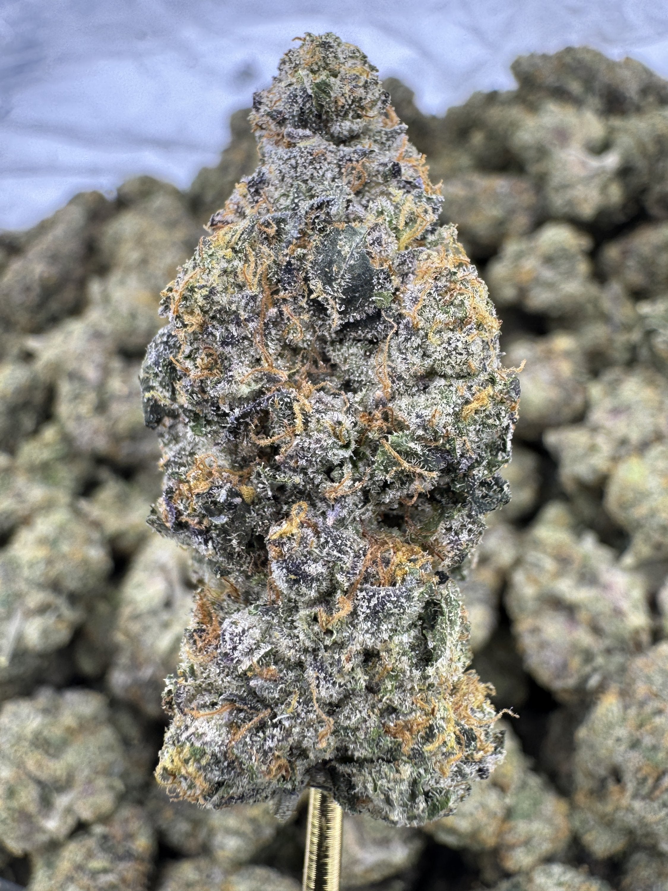 Zashimi - THCA BULK Flower - Indoor Exotic