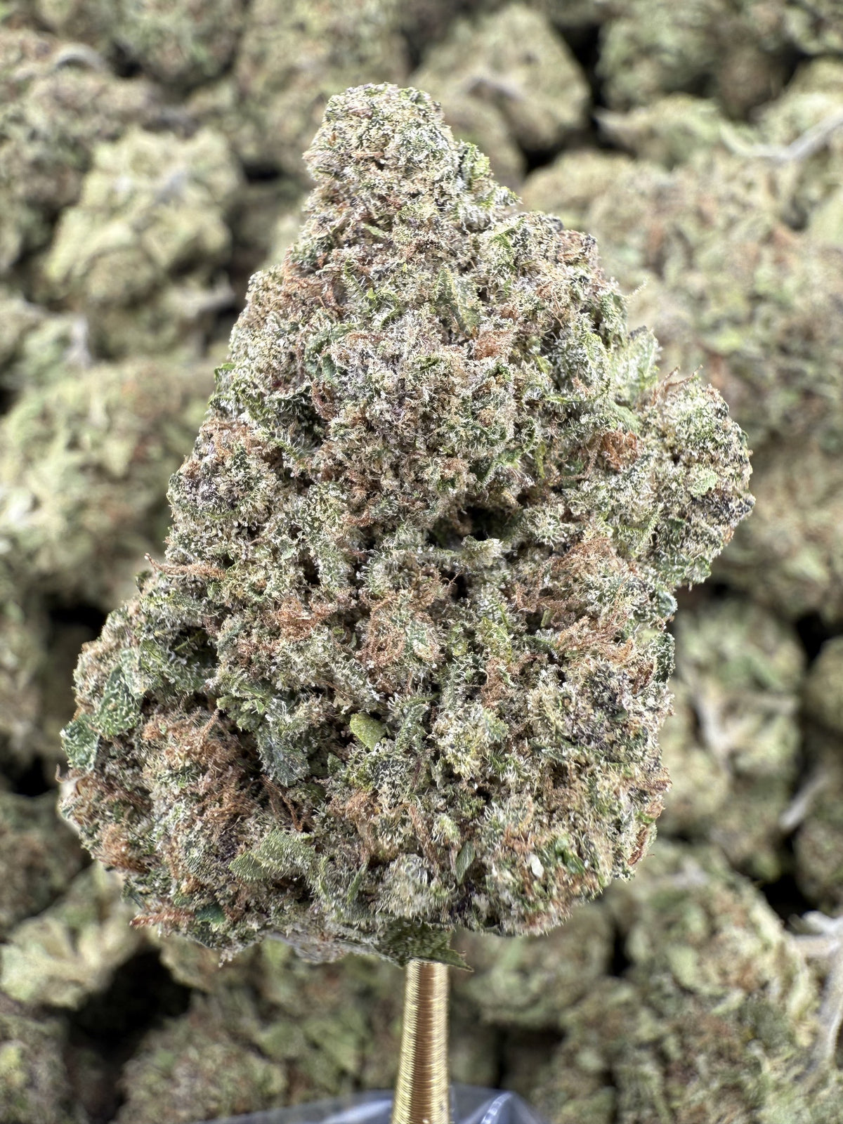 Ze Boof - THCA Flower - Greenhouse Top Cut