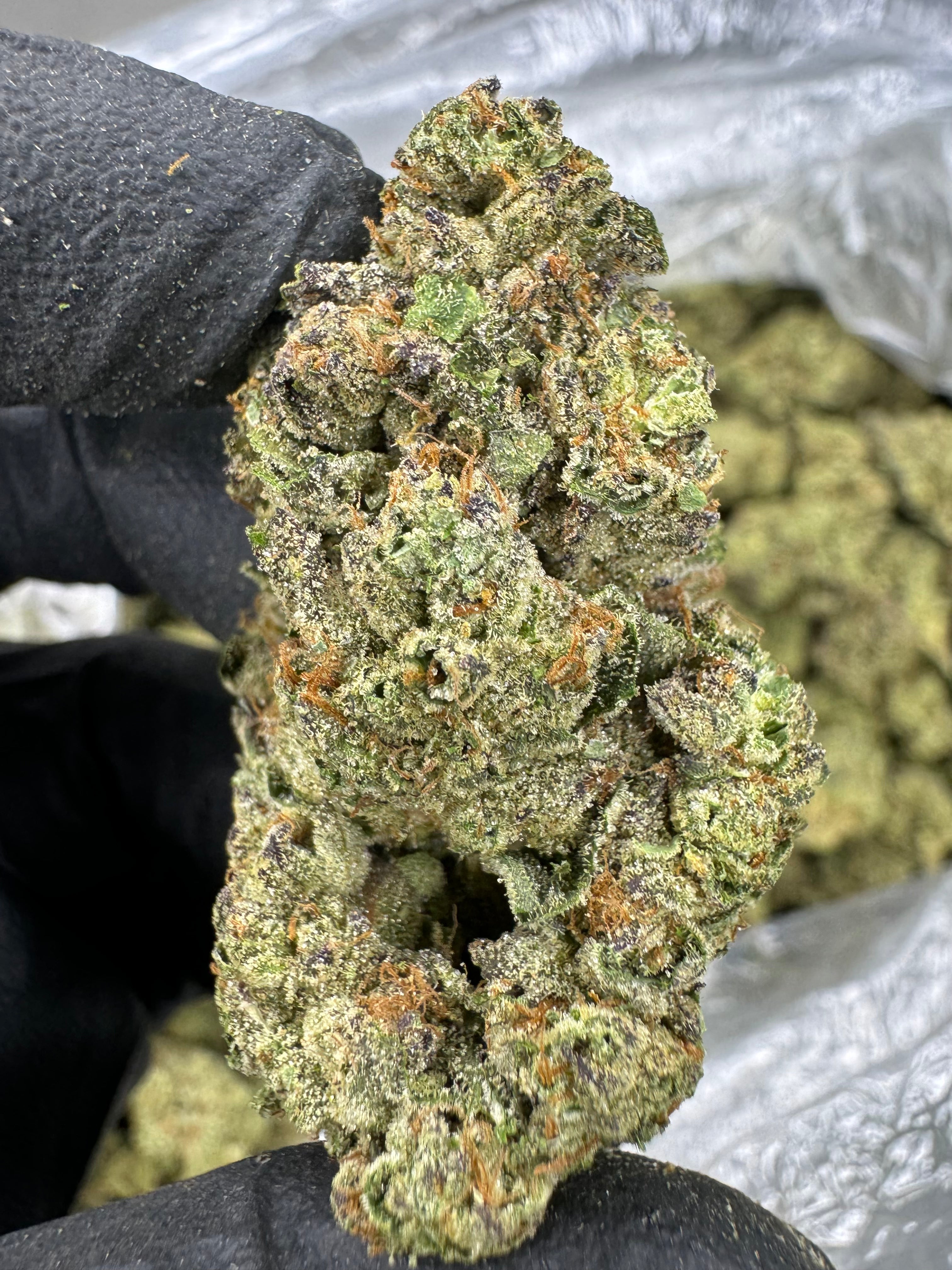 White Runtz - THCA BULK Flower