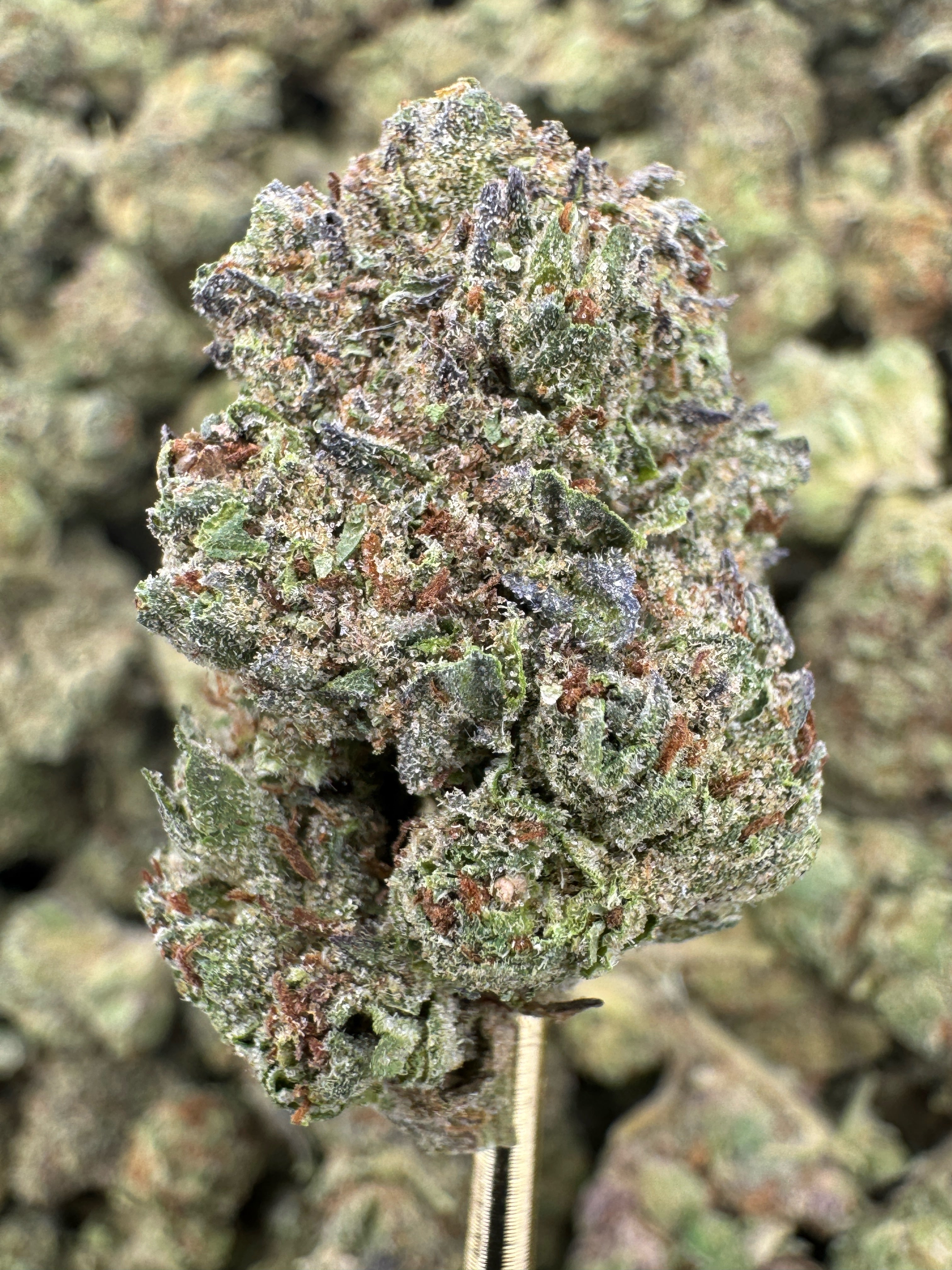 Zoap - THCA BULK Flower - Greenhouse