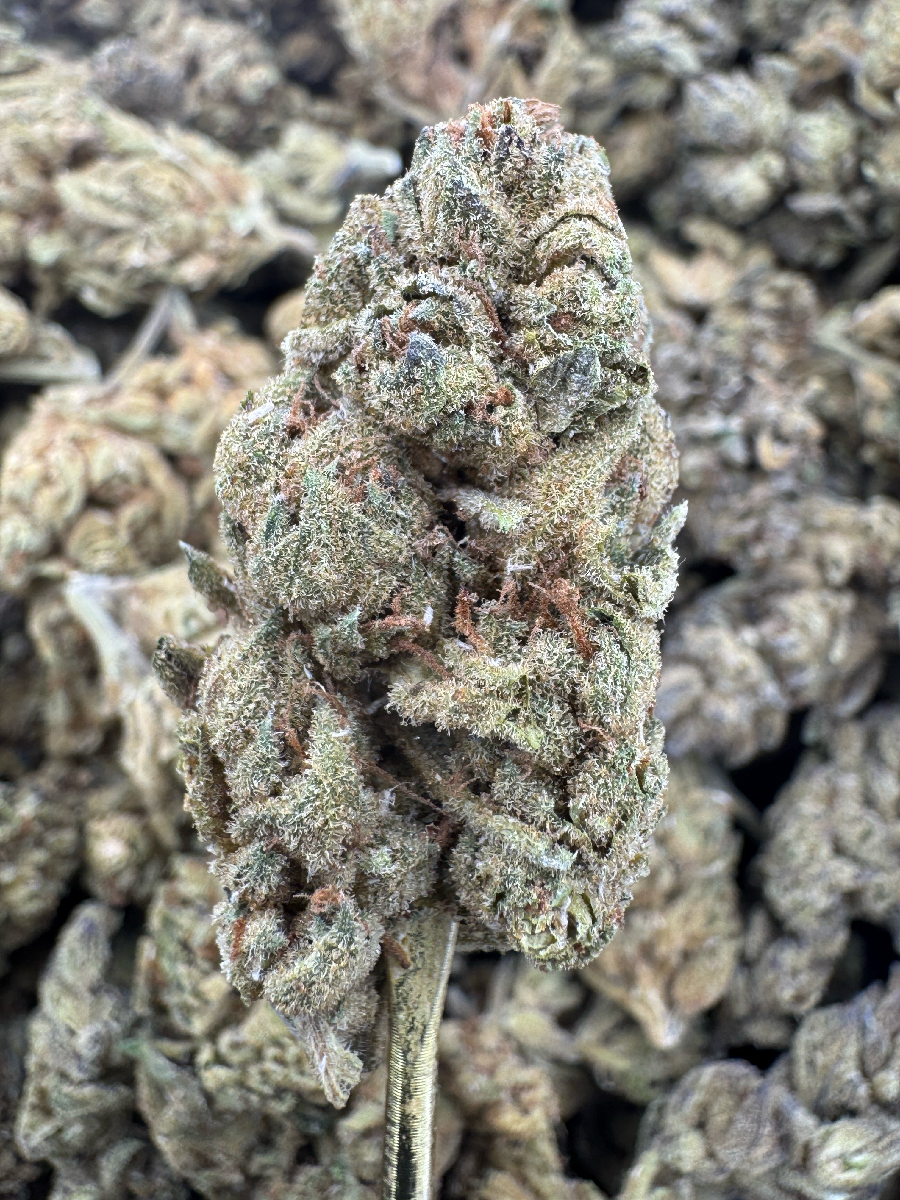 Zoap - THCA Flower - Sungrown Top Cut