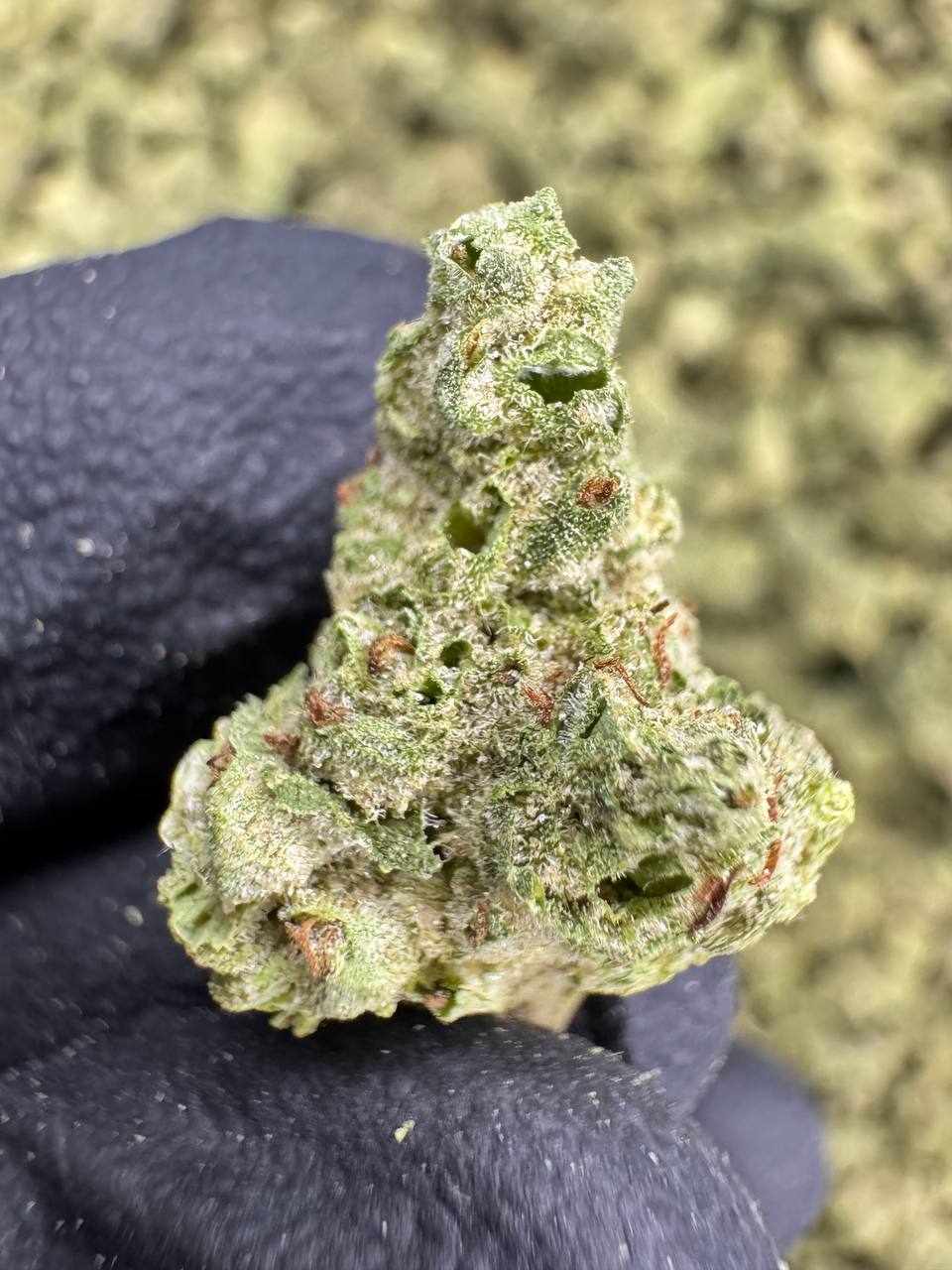 Zoap - THCA Flower - Greenhouse Gold Nuggets