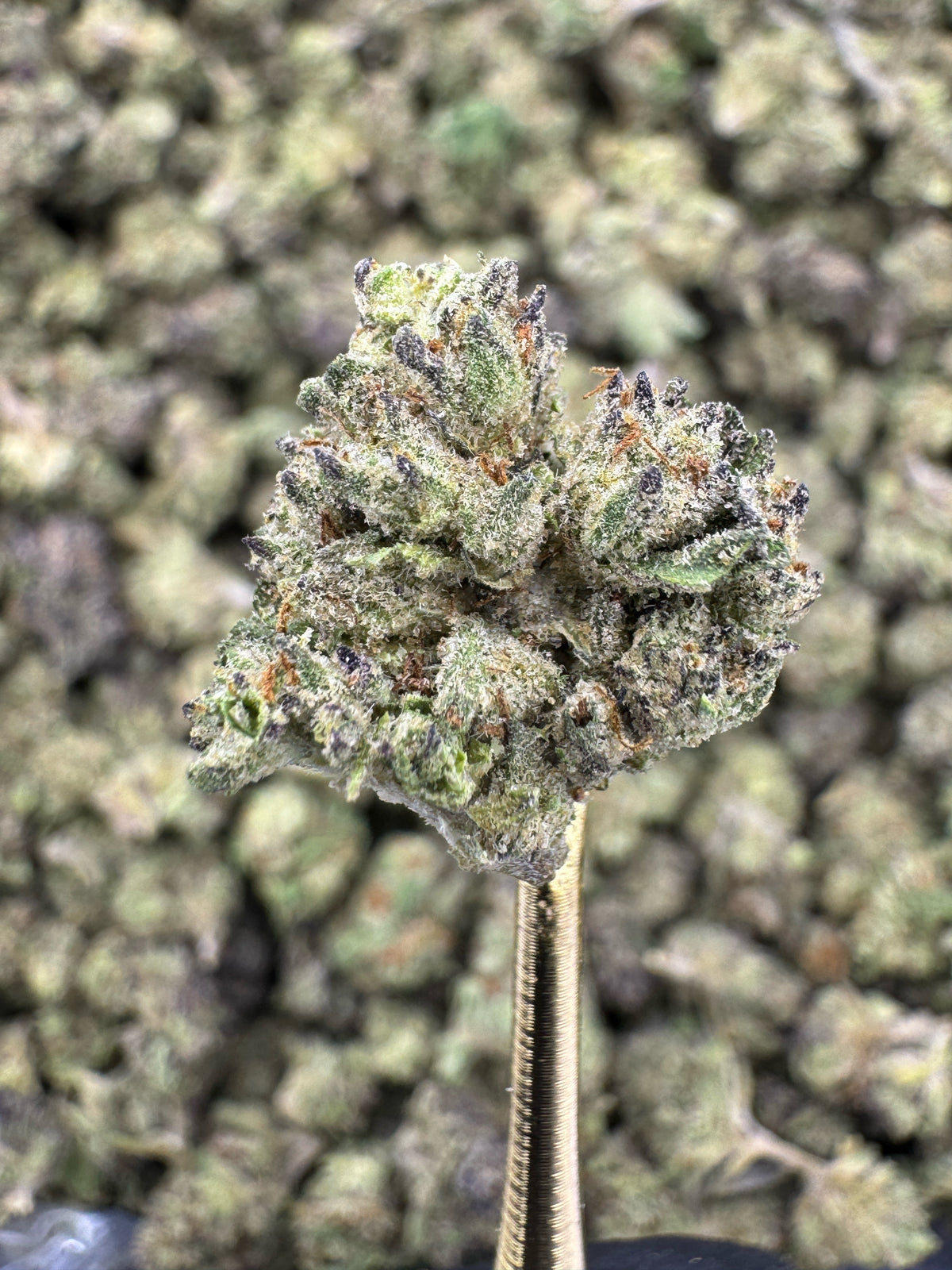 Zonuts - THCA BULK Flower - Greenhouse Smalls