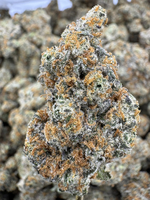 Zookies
