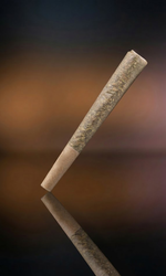 Hash Hole - THCA Prerolls