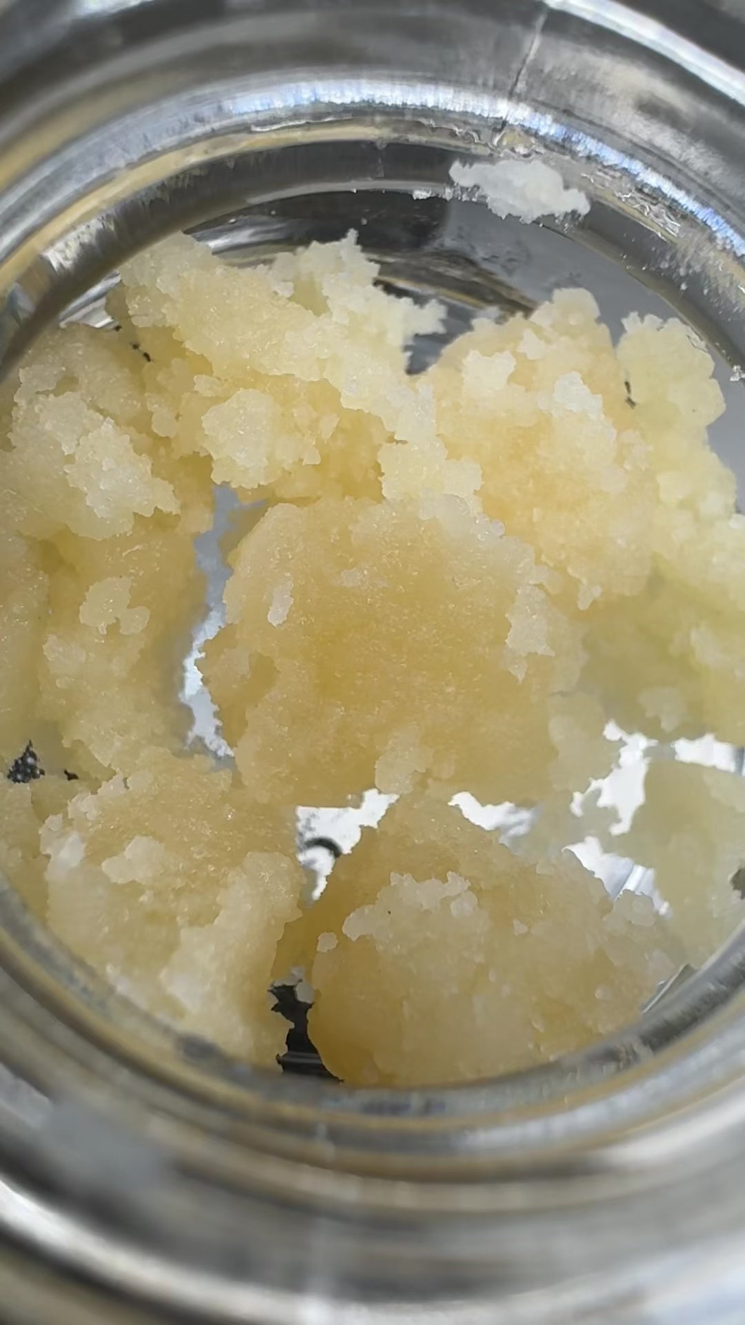 Neon Runtz - THCA Crumble Concentrate | Gold Canna