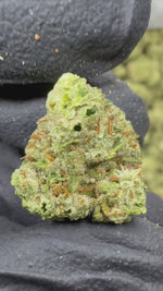 Hindu Kush - THCA BULK Flower - Greenhouse Smalls