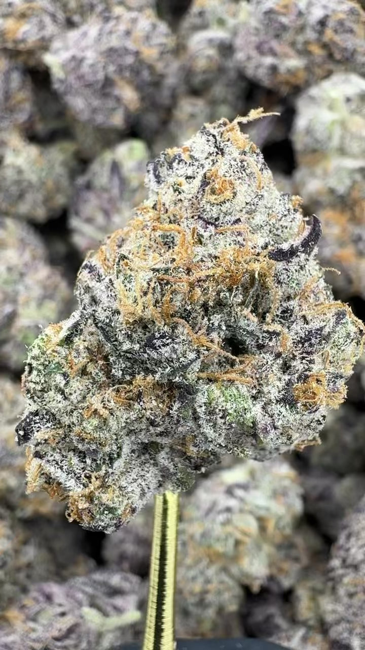 Blue Diamond x White Runtz - THCA BULK Flower - Indoor Exotic | Gold Canna