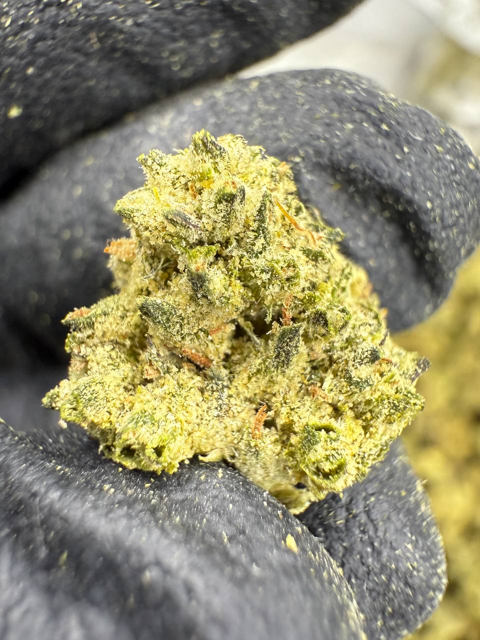 Runtz - Gold Nuggets - THCa Flower CLASSIC RESERVE SMALLS