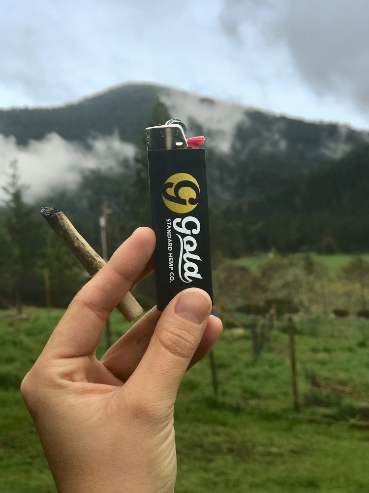 Bold Hemp Stix Single